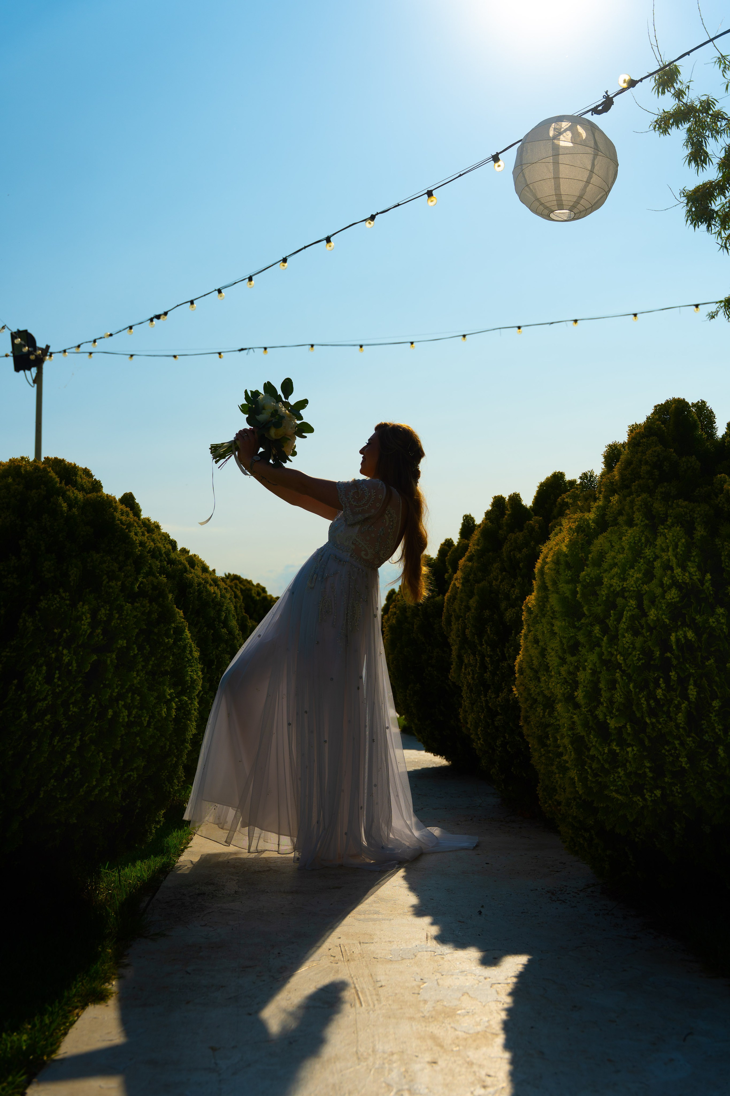 Nunta. Fotograf de Nunta