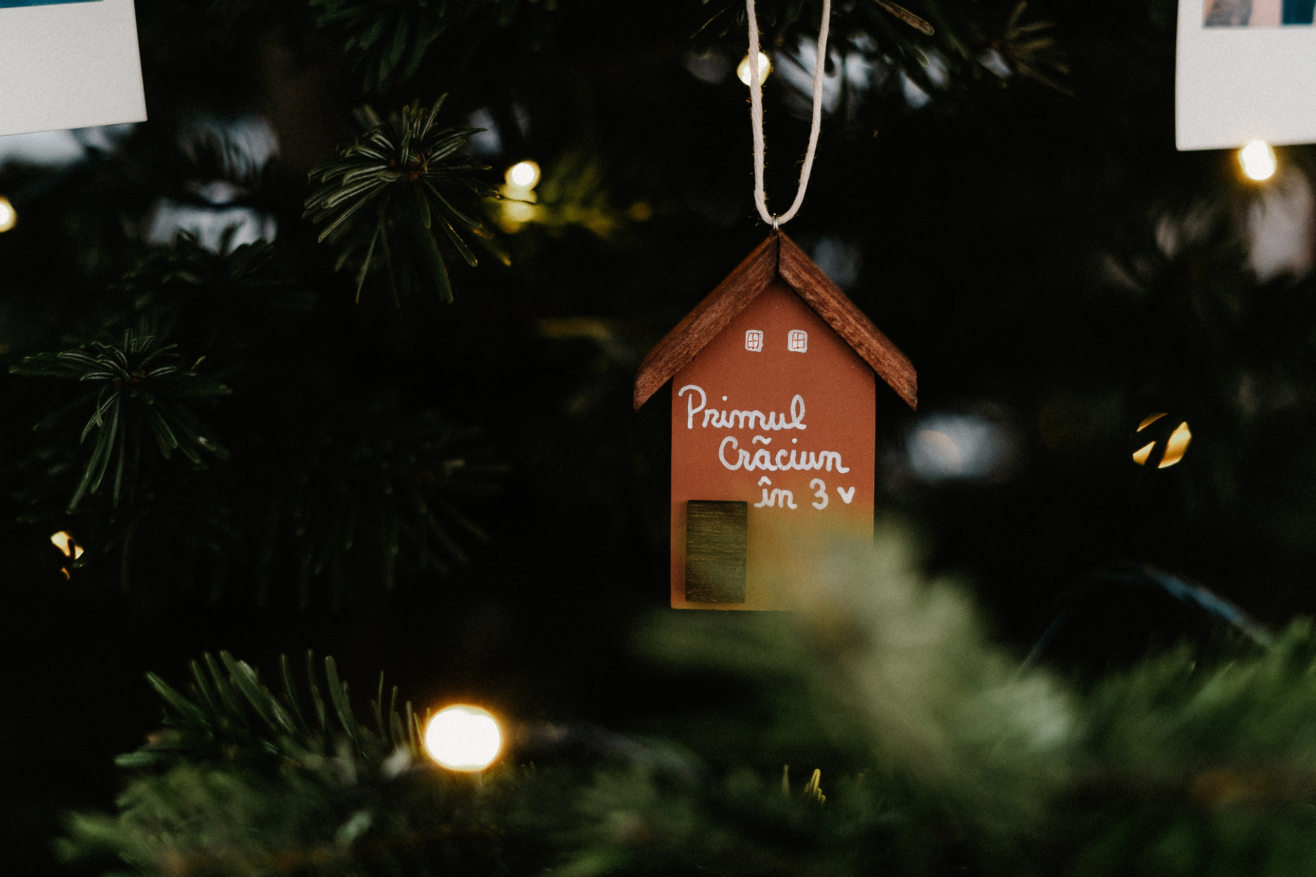 Ducuții — Crăciun. Dara Lens | The art of remembering