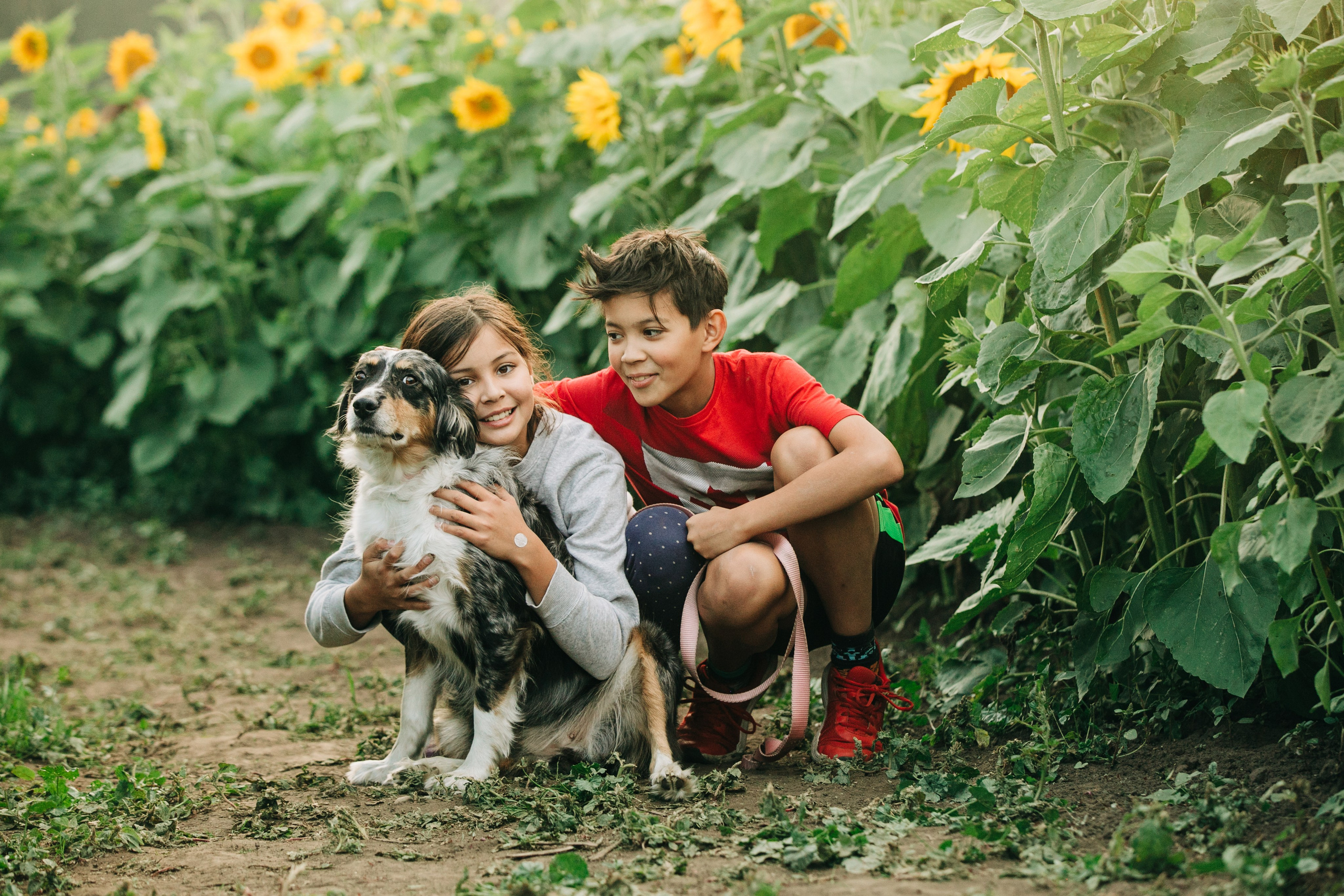 Bowden Sunmaze — Ana Pau & Johnathan. Ching Li Photography