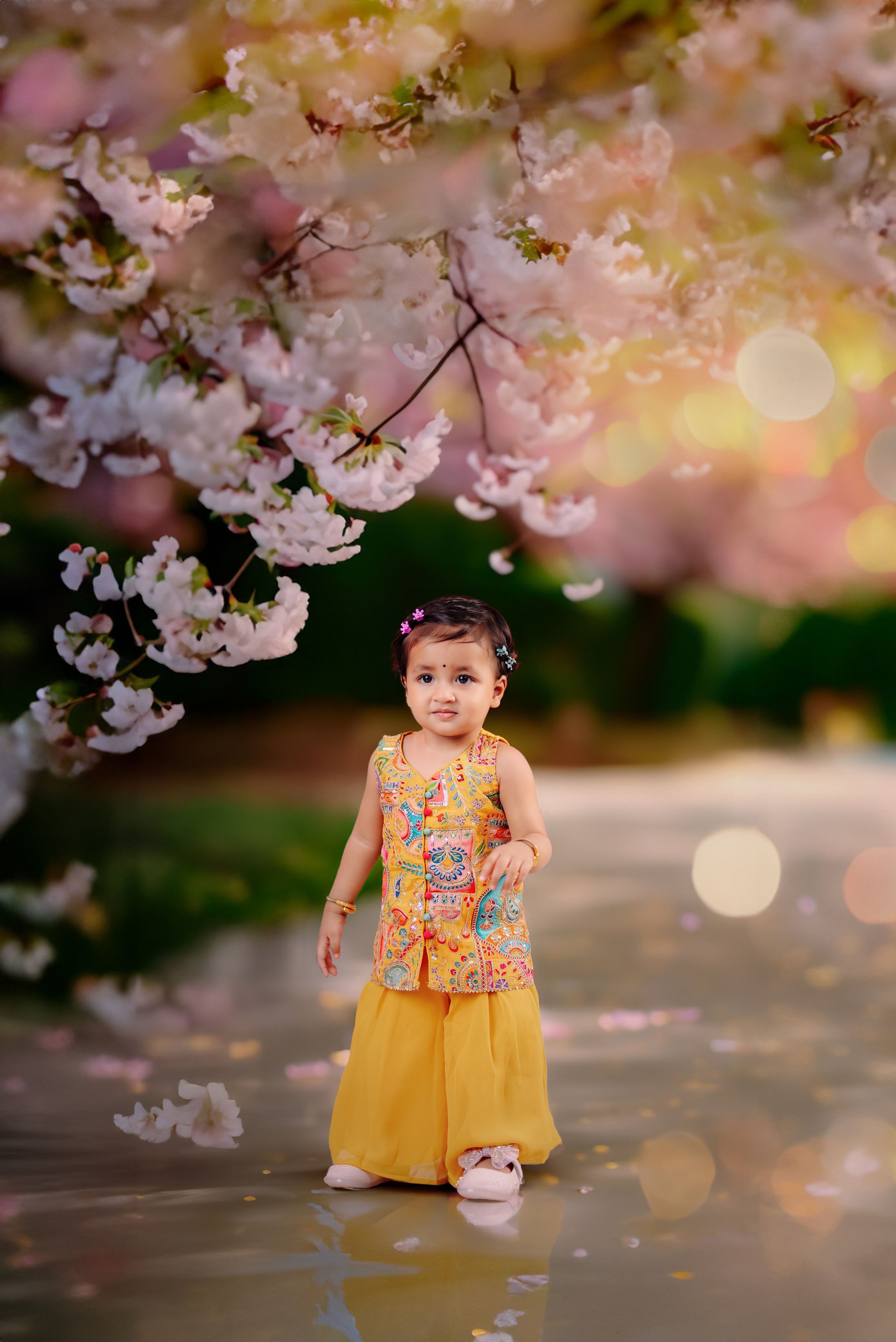 Poudel Digital Photography