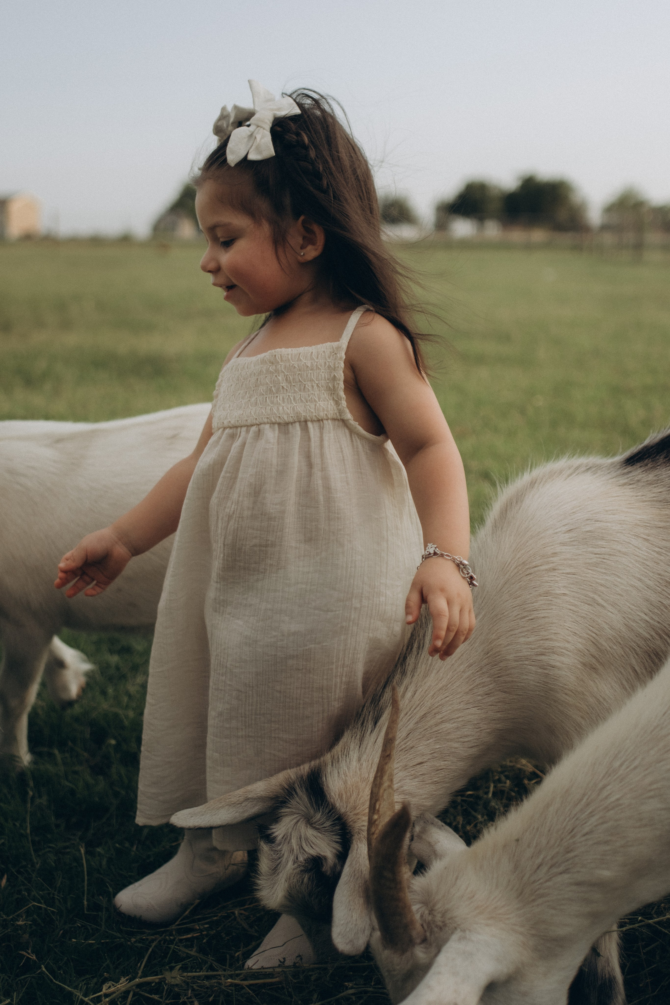 Farm Story. Lens Captures Life