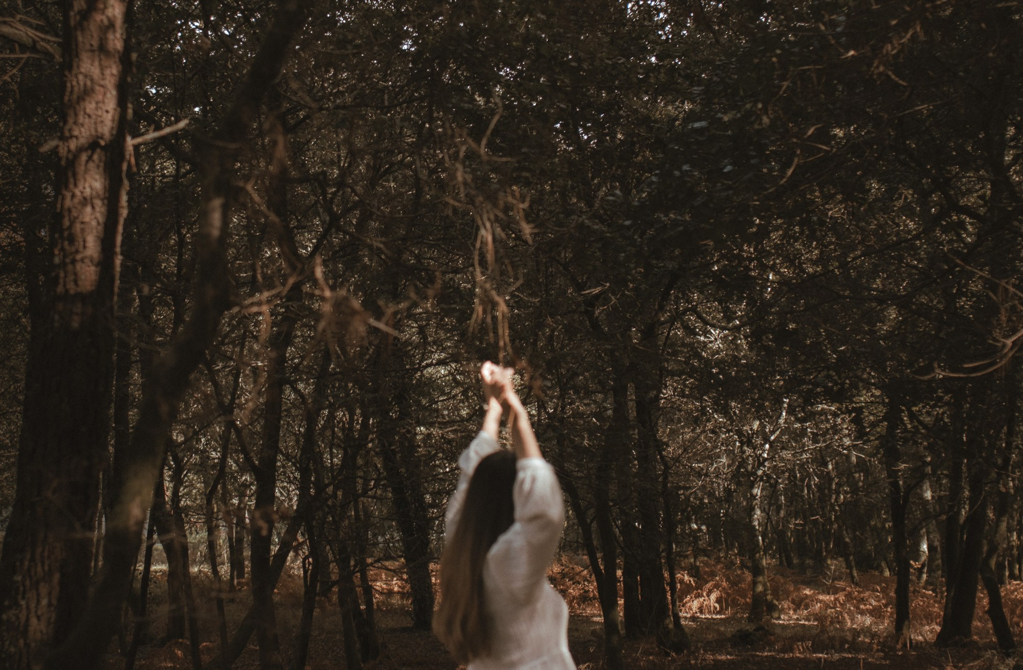 Portfolio. Sara Aires - Fotógrafa