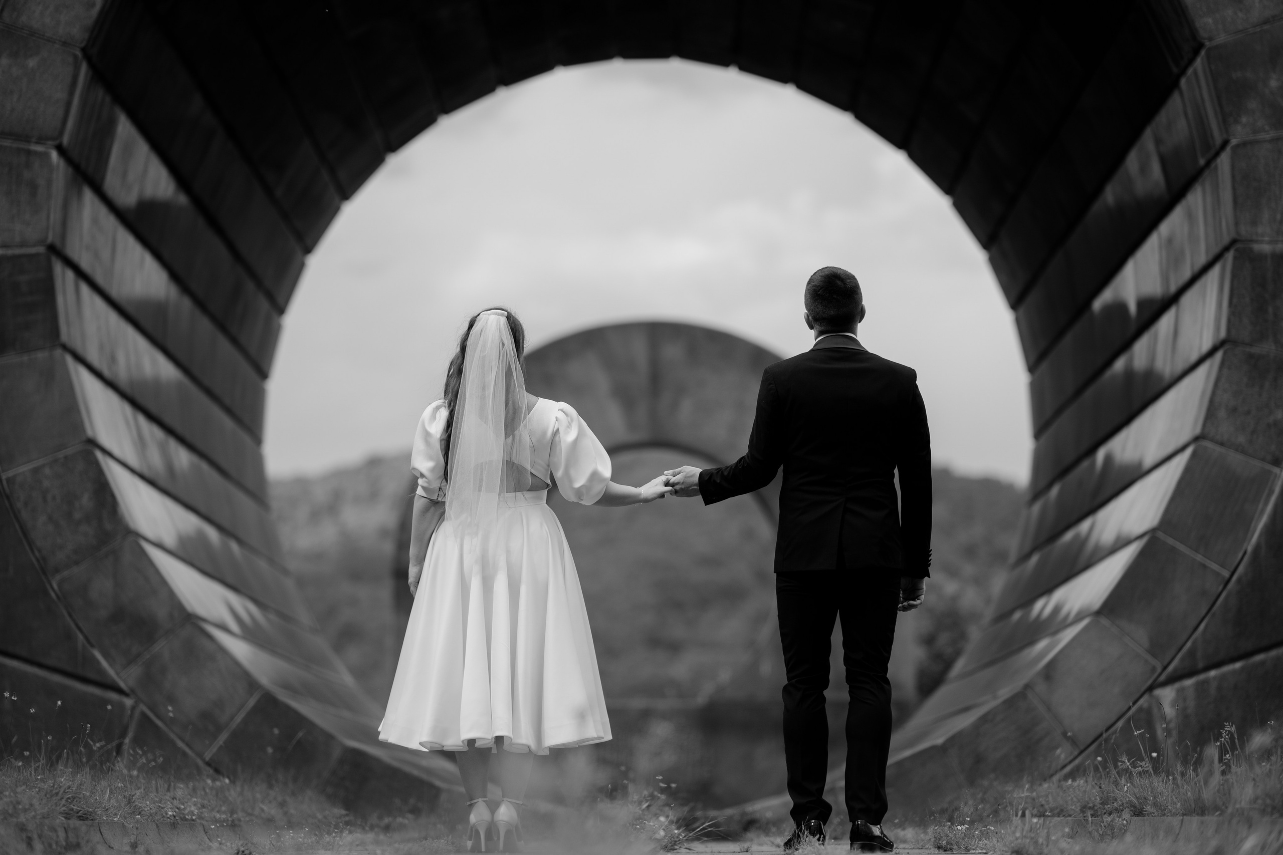 Stefan & Dorotea. NSJ — Wedding Studio