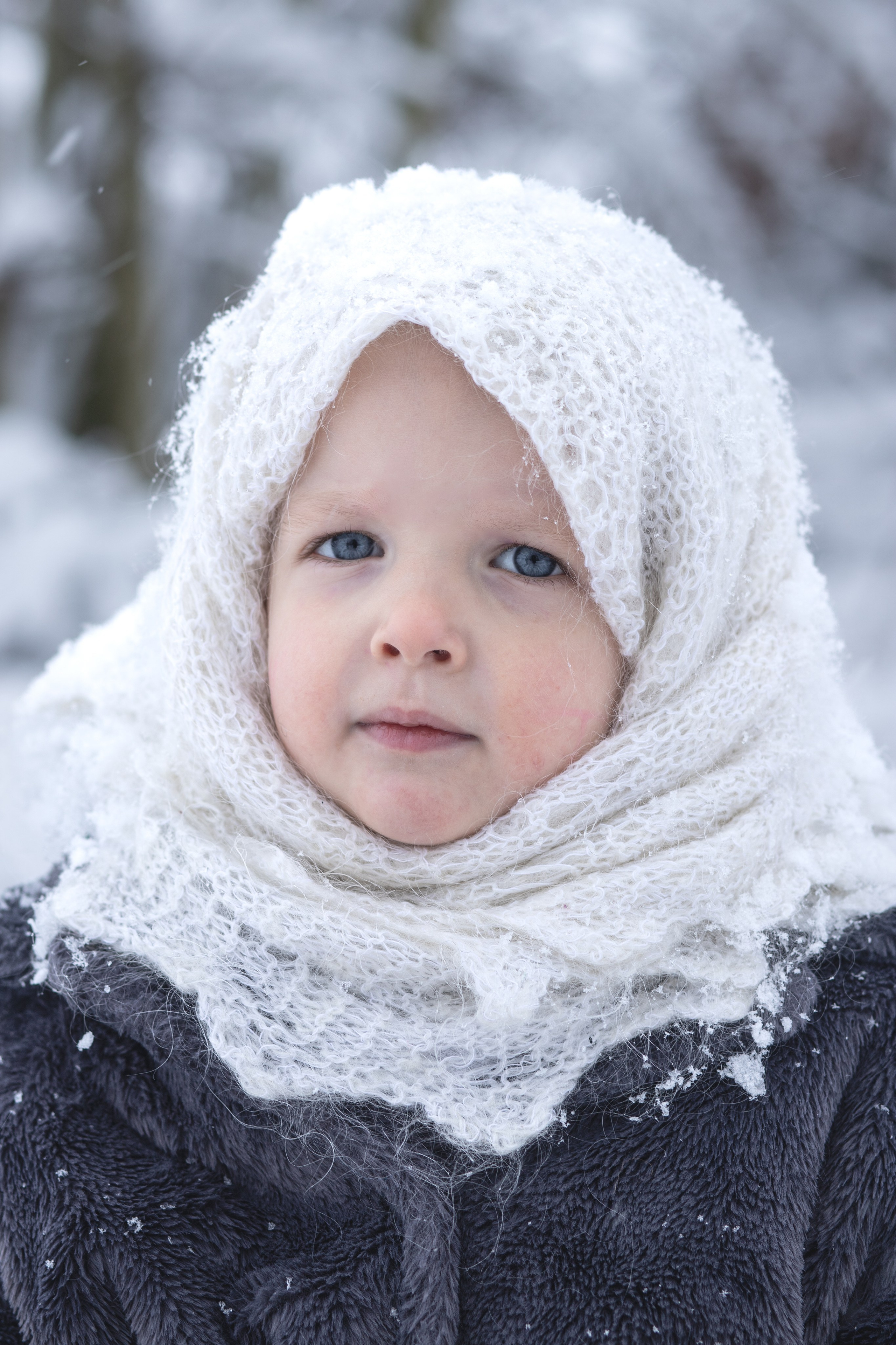 Ein Weihnachtsmärchen. Olena Fritz Fotografie