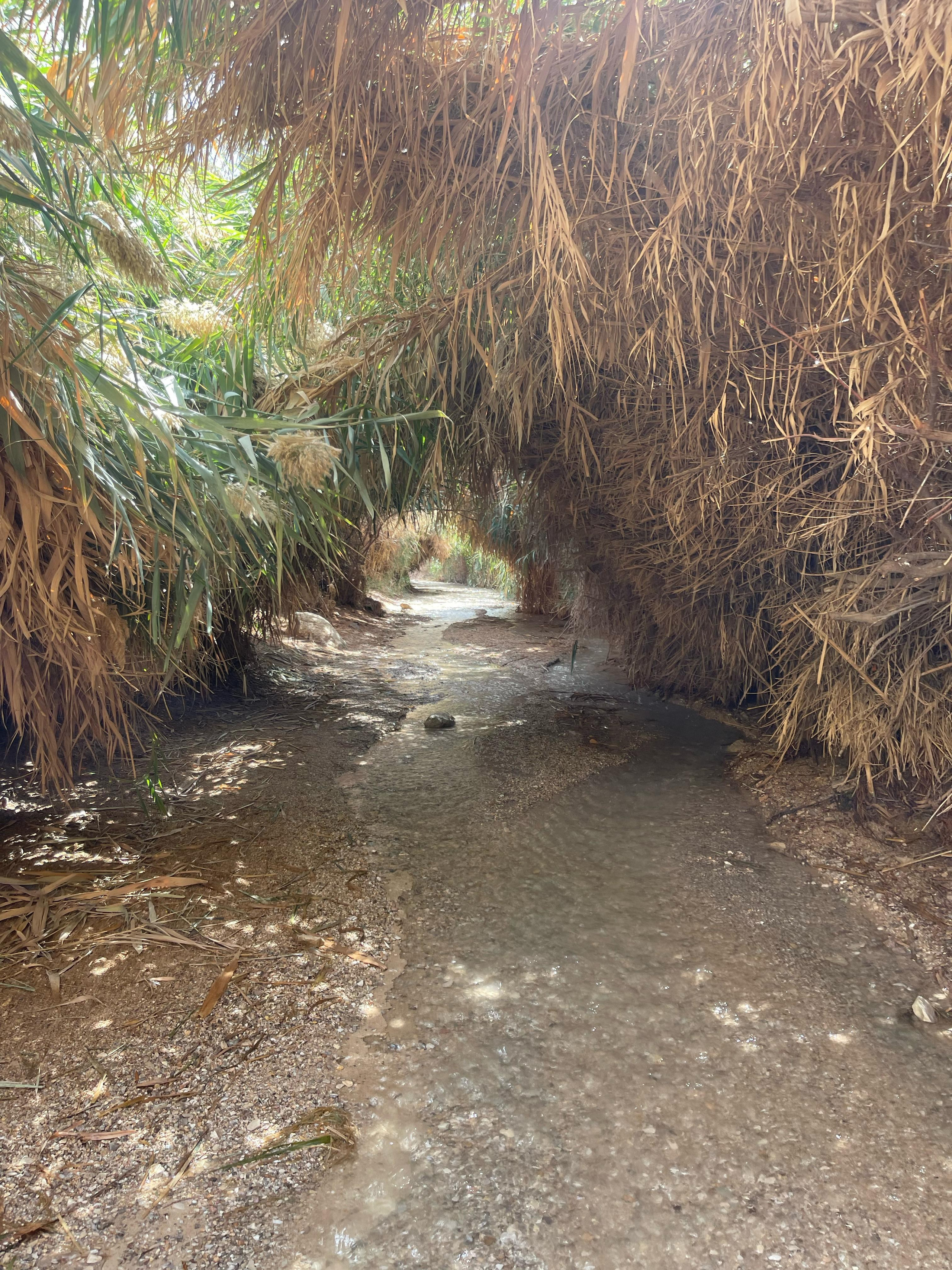 Женский поход 2024 — клуб «Нортман». КРиС «Нортман»