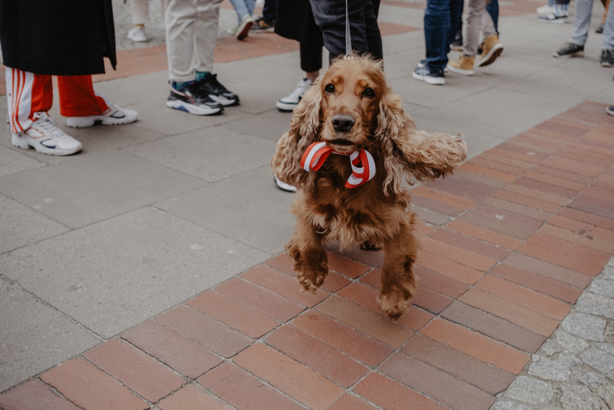 Freedom Day March in Warsaw. Photographer Anastasiya Dubrovina