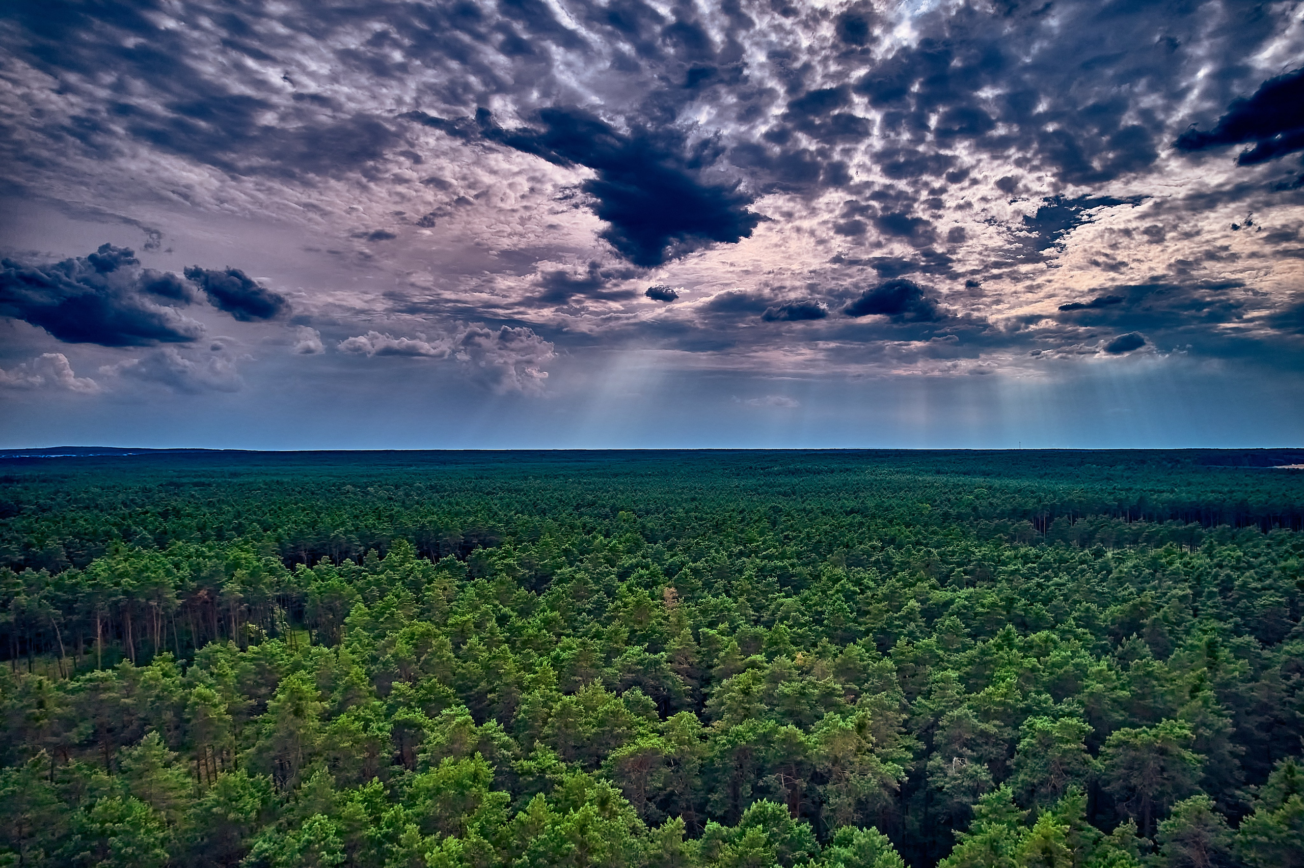 Organic Festival 2024. Андрей Шипилов — Фотография & Видеография