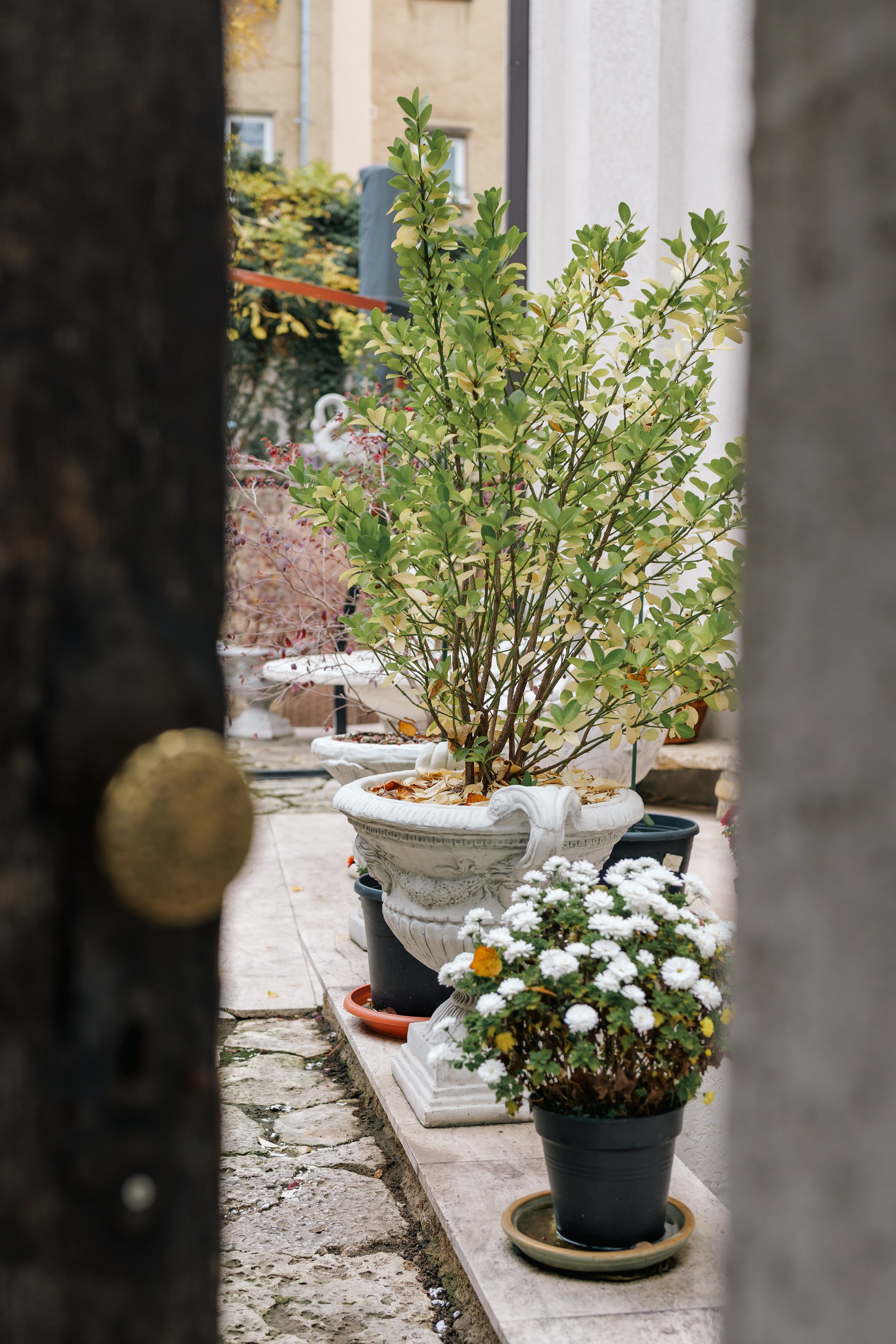 Eko Group Vila. Raul Valentin fotograf de evenimente