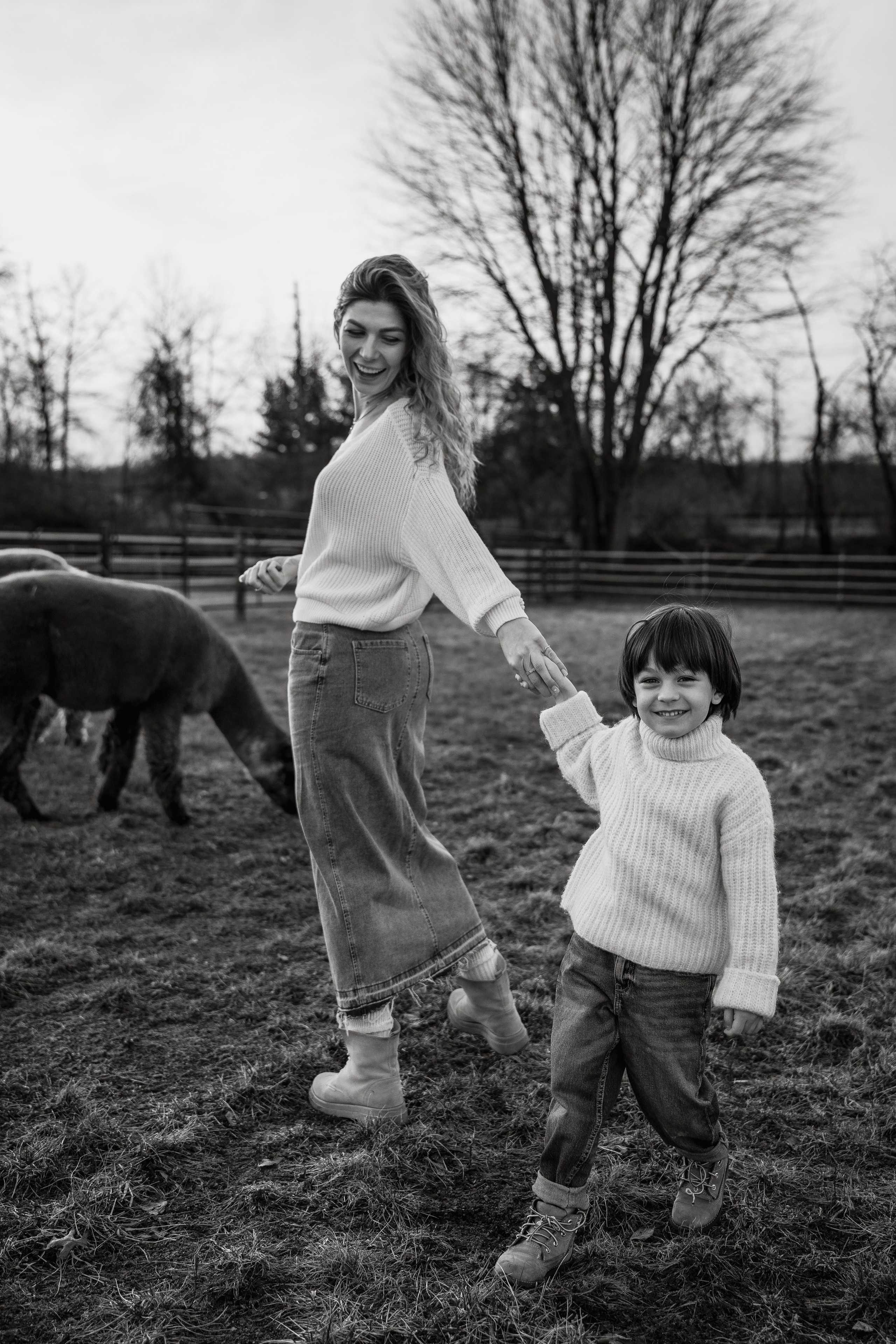 Alpaca’s farm. Wedding and family photographer and videographer PA, NJ, NY, DE, MD