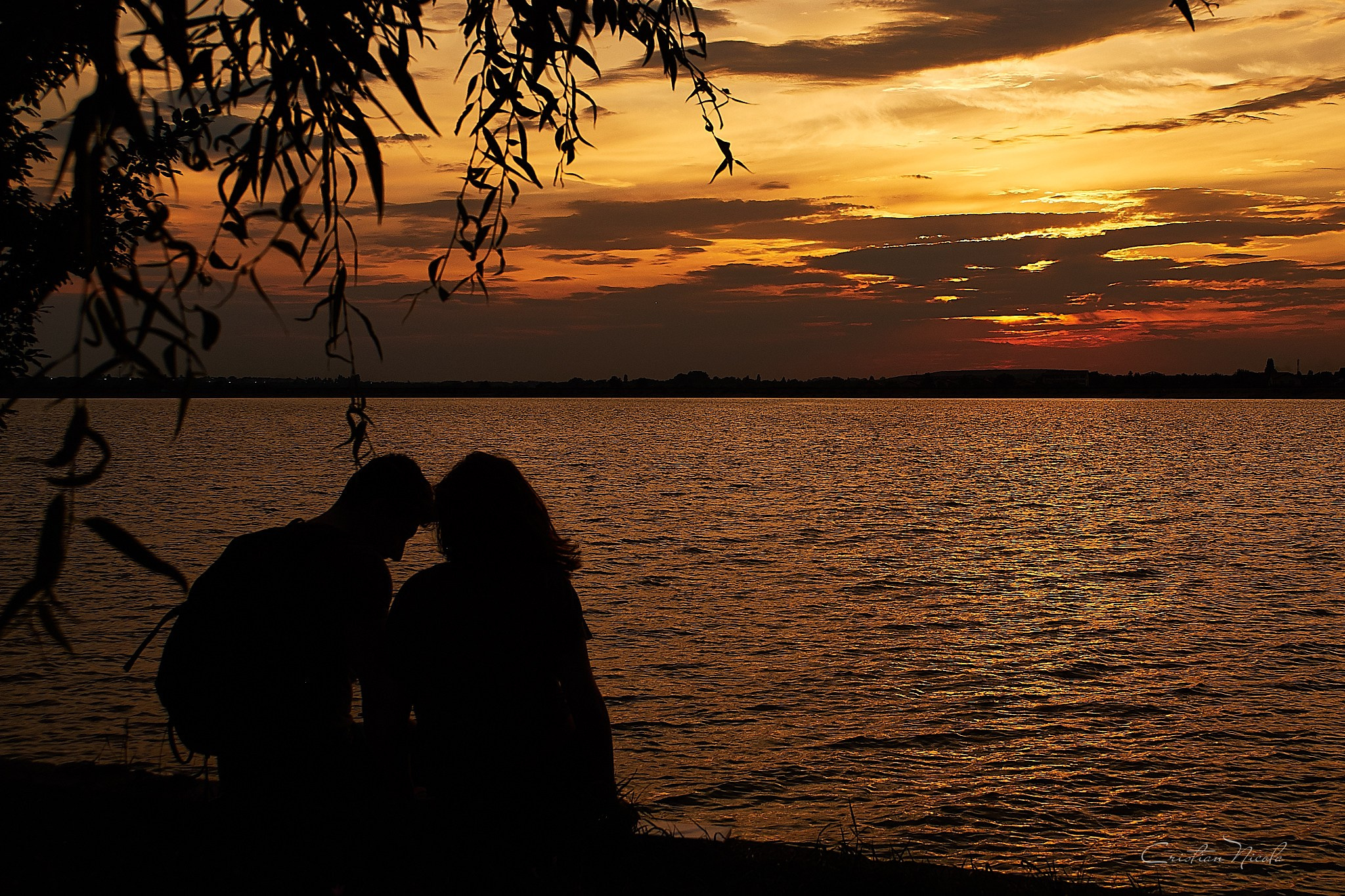 Lacul Morii, București. Pagina principală