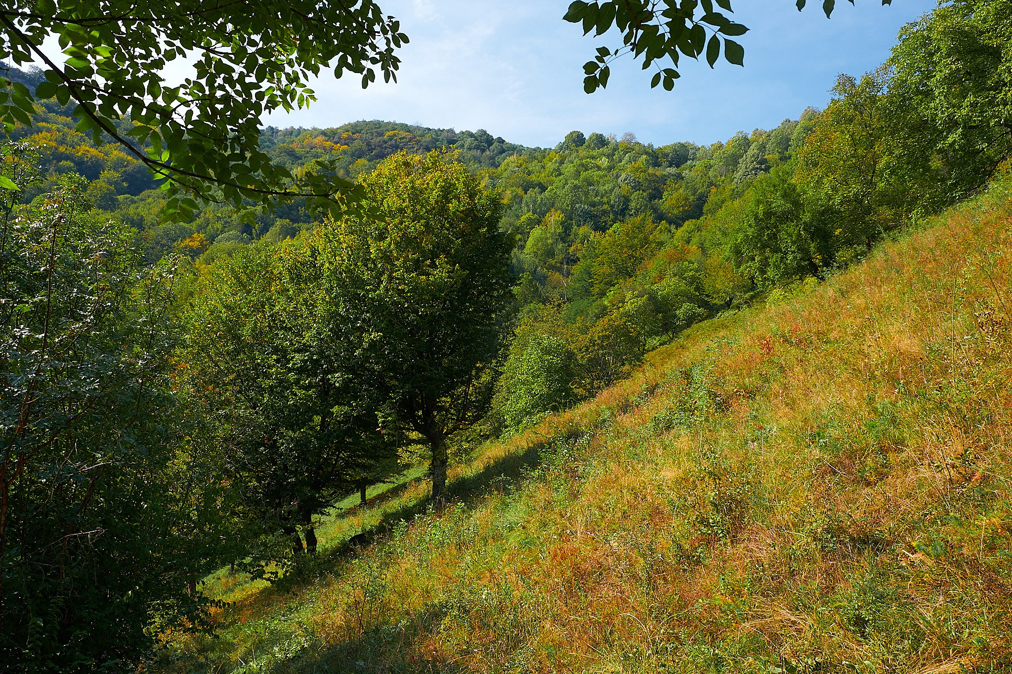 Ineleț, jud. Caraș-Severin. Pagina principală