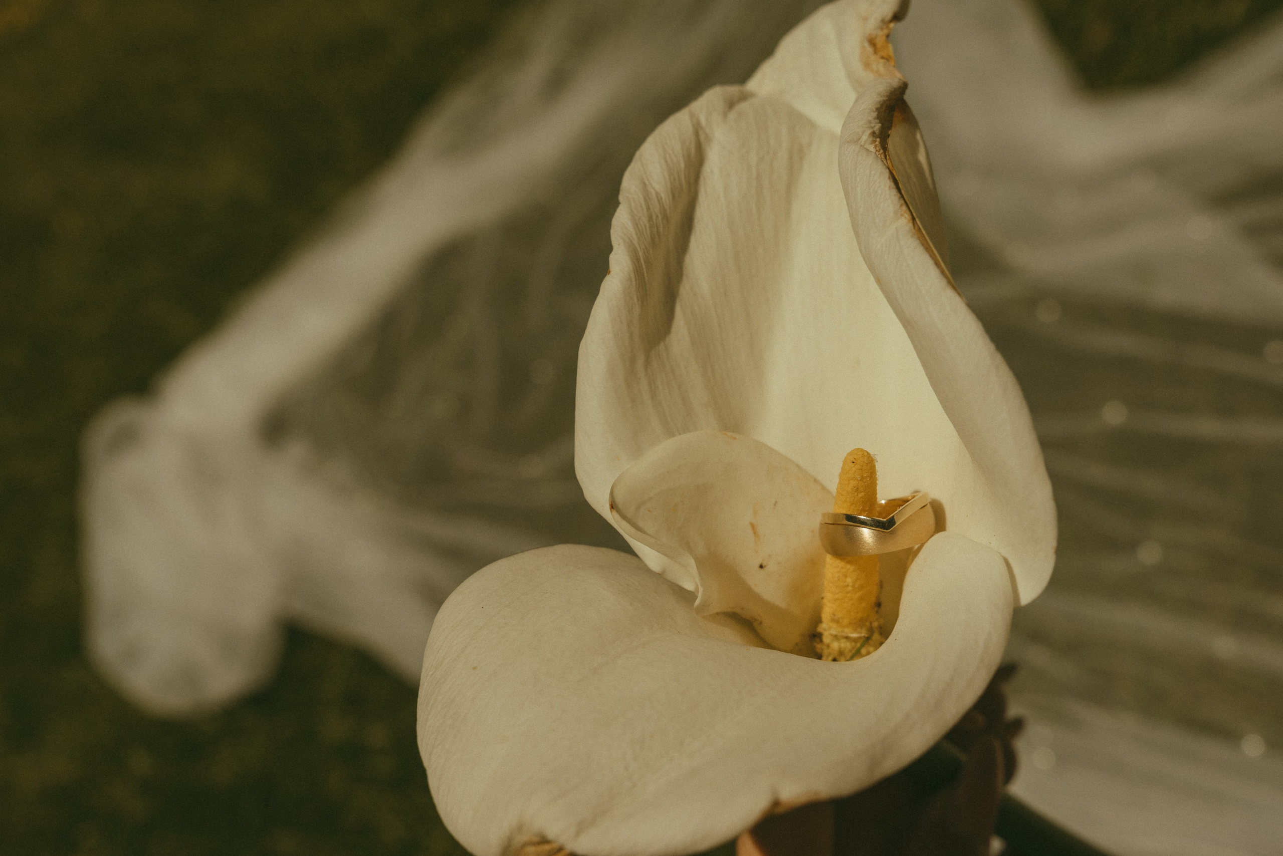 Wedding | San Francisco. San Francisco Wedding & Elopement Photographeк | photography_of.nadia