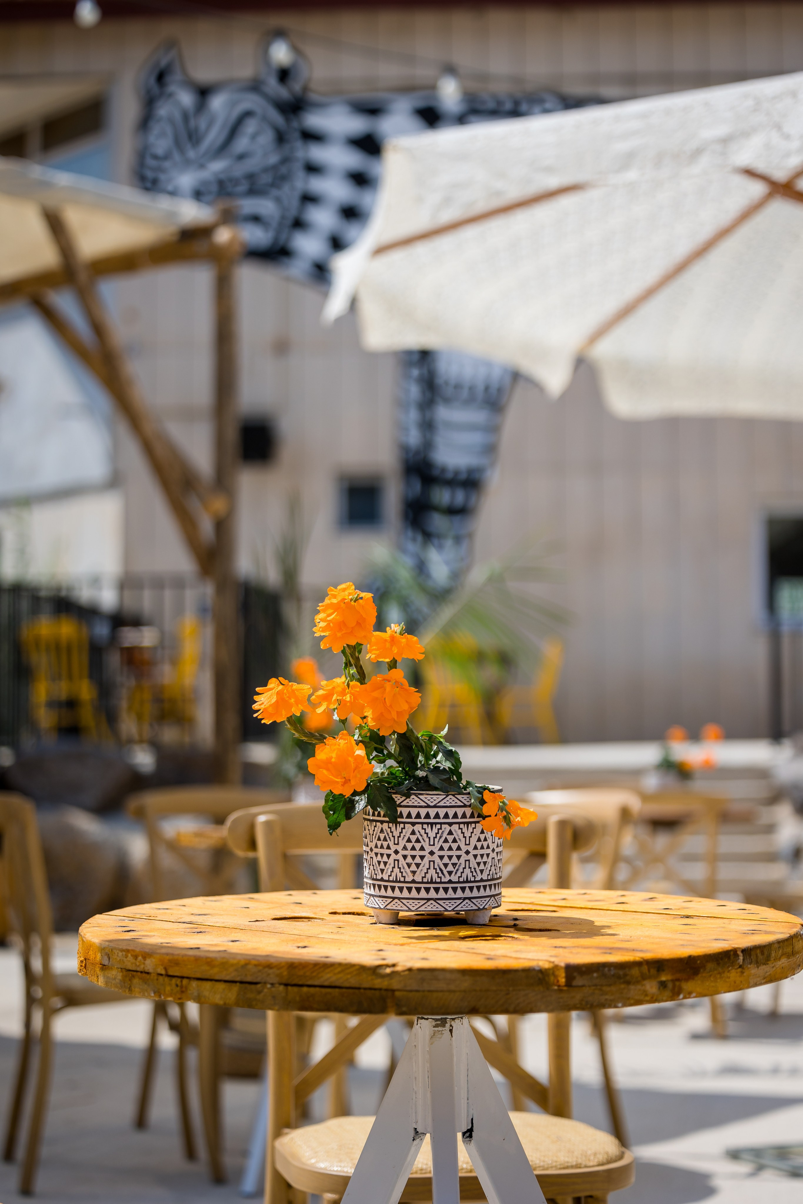 Playtika TIKI TECH. AMIR BUCHNIK PHOTOGRAPHER