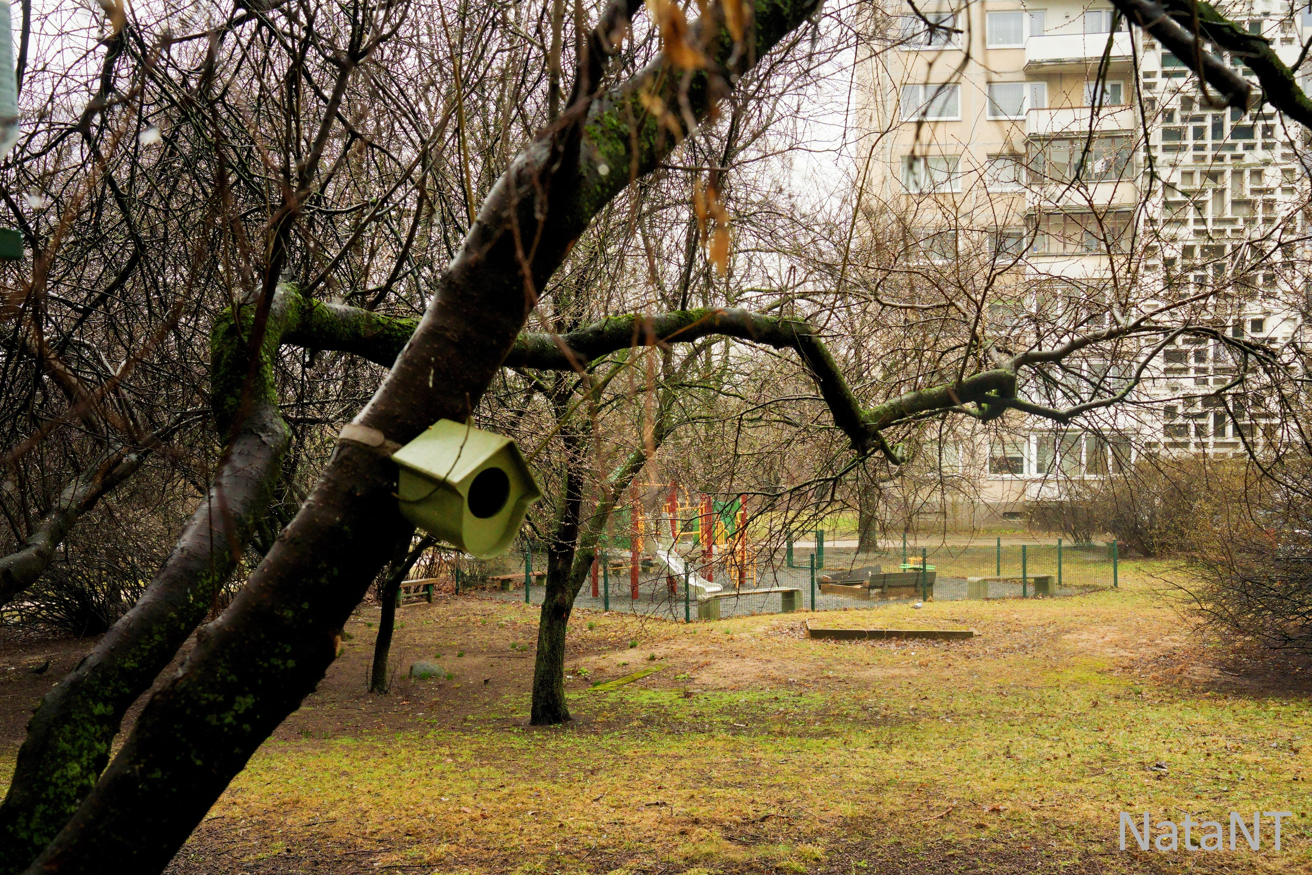 Žirmunų g. 113. Elina Sapiega fotografė Vilniuje