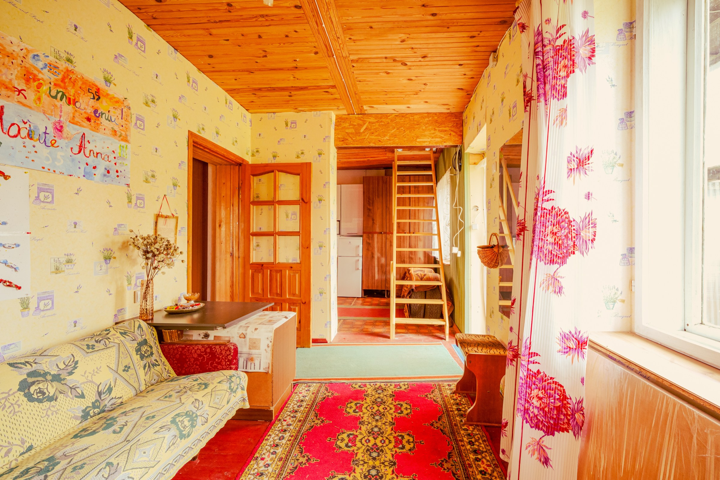 Pupojų sodų 3-oji. Elina Sapiega fotografė Vilniuje