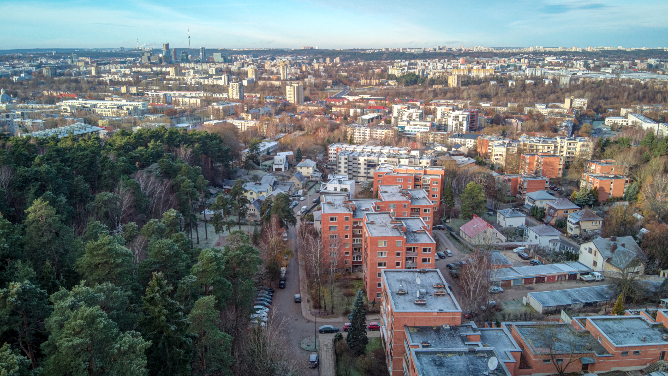 Dronas Antakalnis, Kanklių 10. Elina Sapiega fotografė Vilniuje