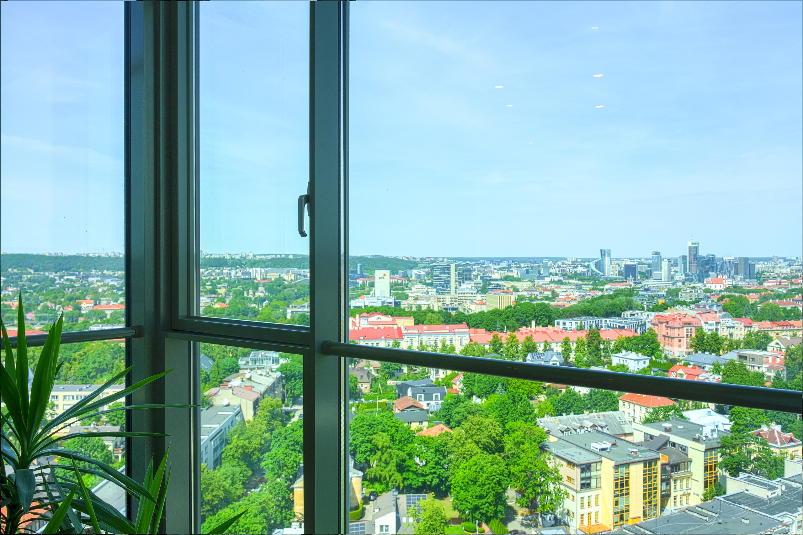 Savanorių g. 1. Elina Sapiega fotografė Vilniuje