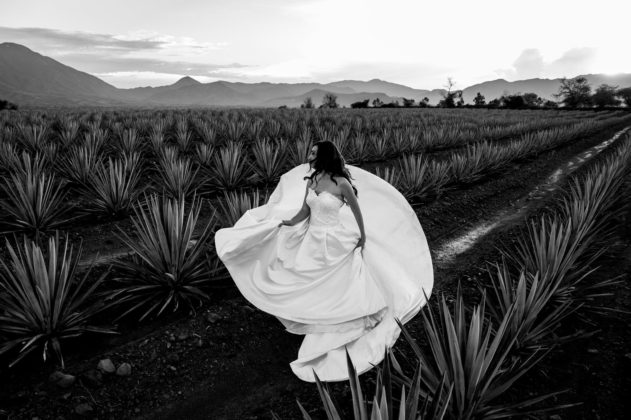 Galería Trash The Dress. Jorge Romero Fotógrafo de bodas