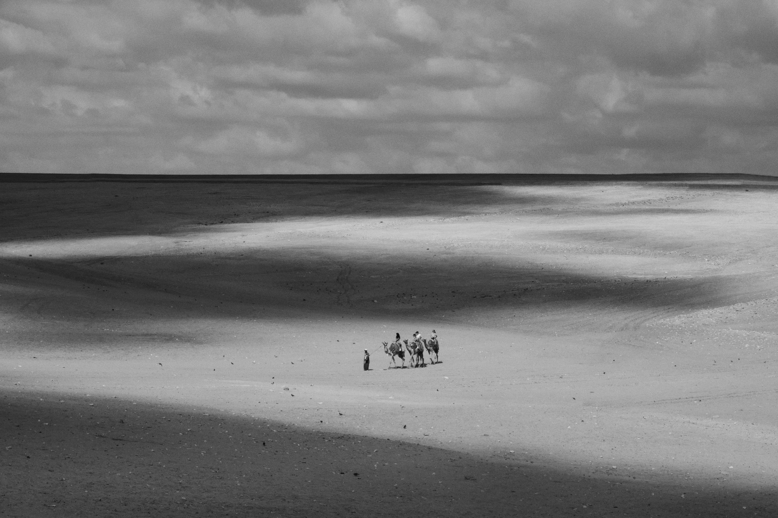 Day For Night. Fuad Shafiyev