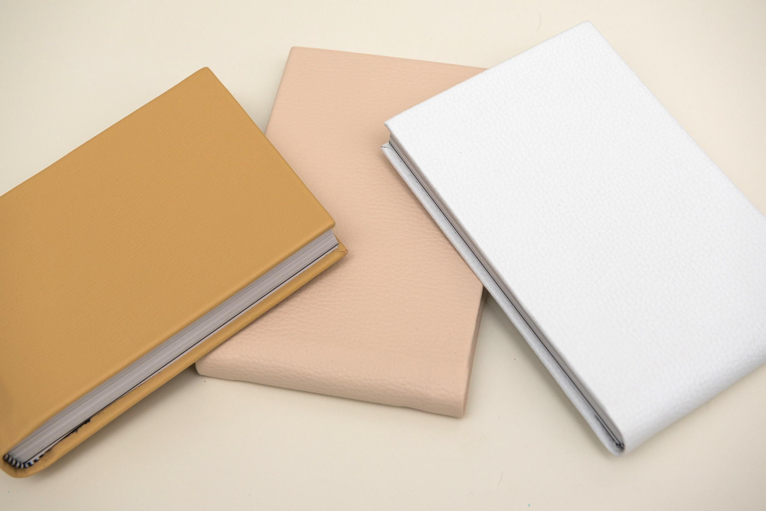 Albume Bogdan Palenciuc