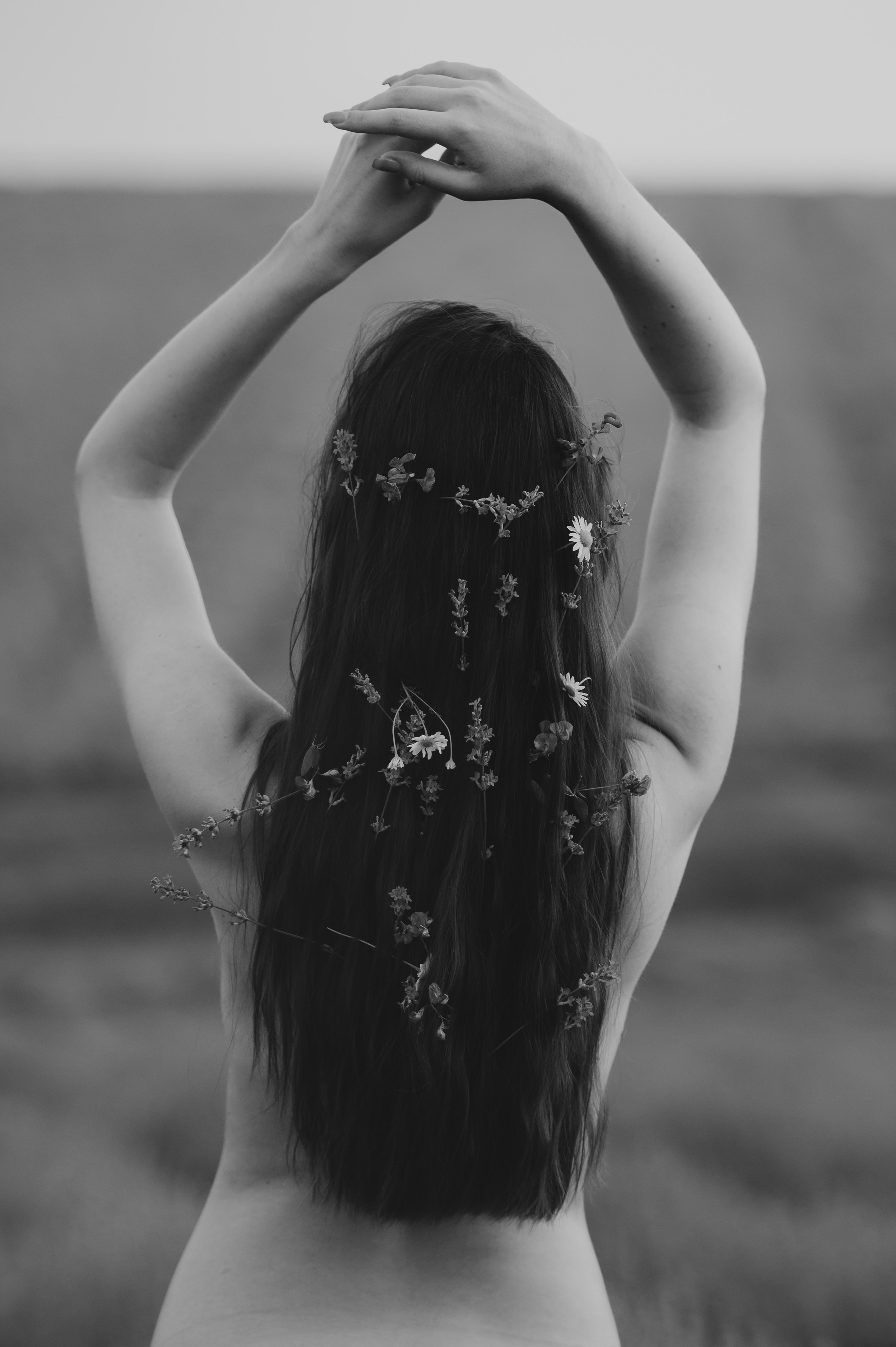 Sedinta foto in lanul de lavanda. Proud Vision Weddings | Wedding Photography & Film — Servicii profesionale Foto Video Nunta Iasi