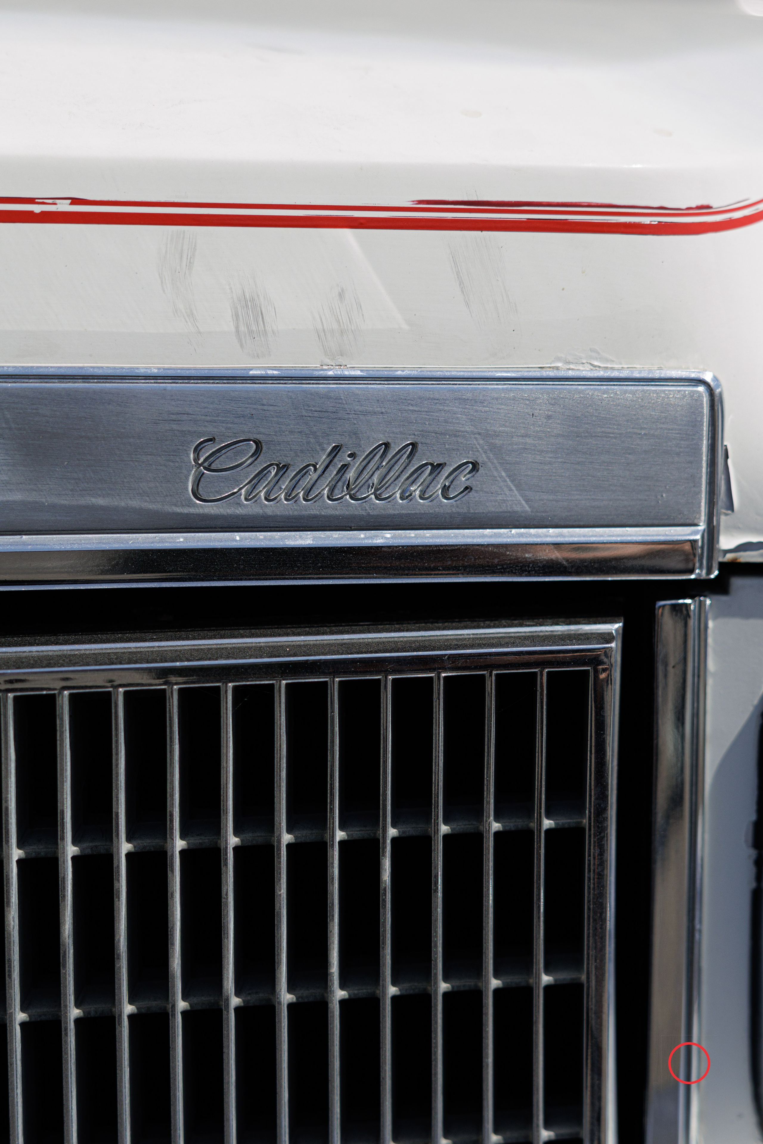 კოტეტას თასი 2025. FramefreeMan