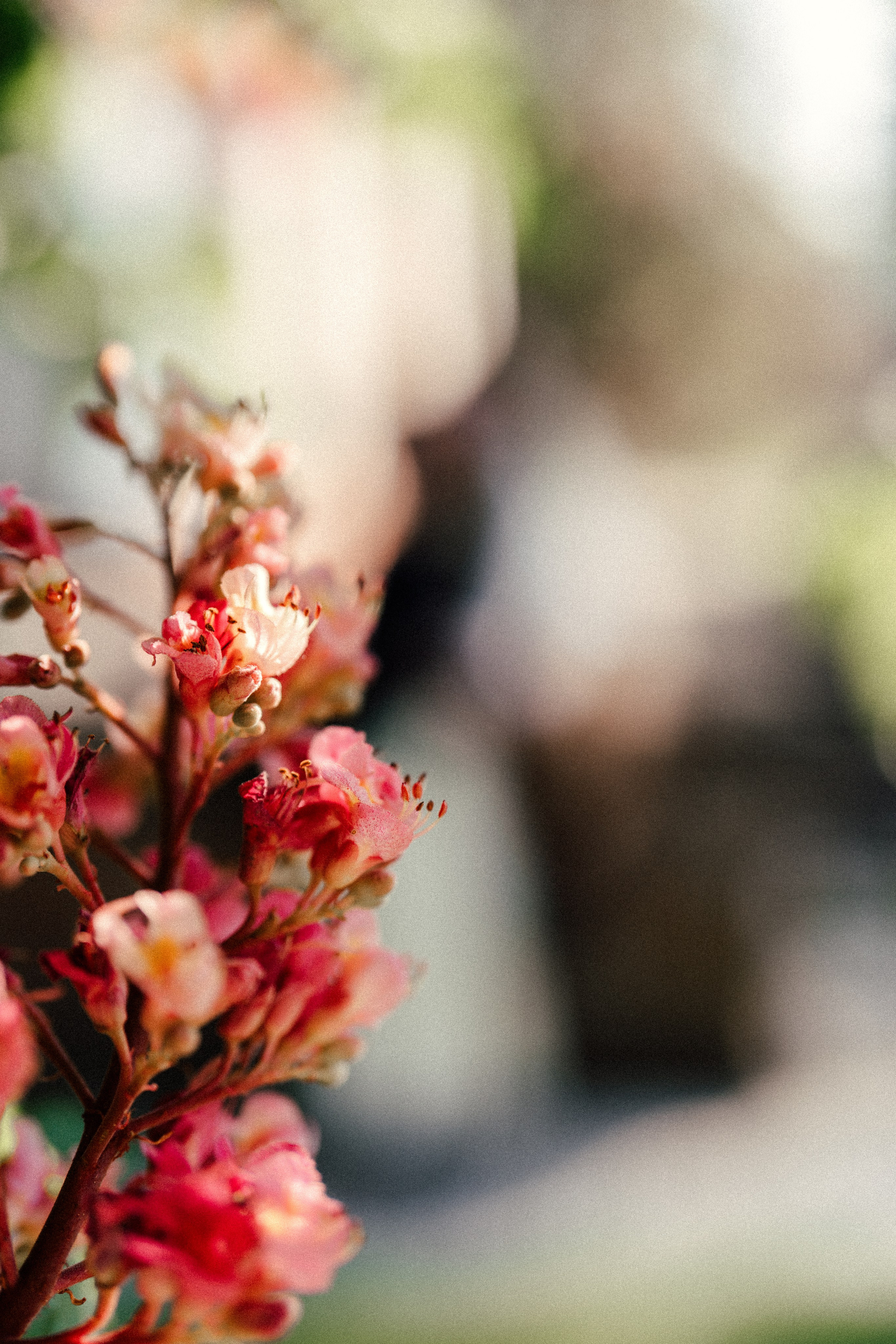 Im Moment. Familien, Portrait und Konzeptualfotografie in Genf, Schweiz