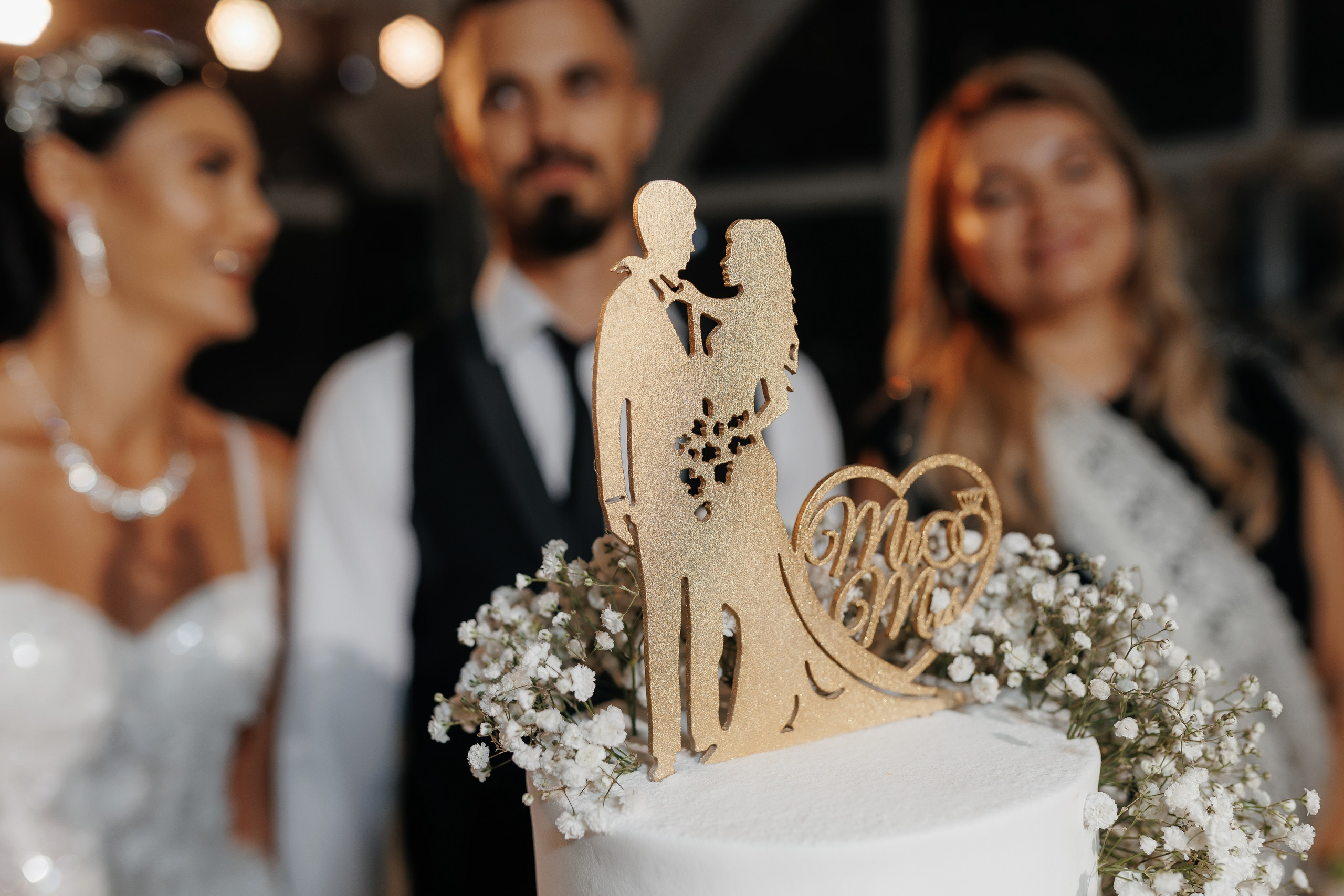 Liviu & Vergilia. ProWed — Foto Video Moldova și România