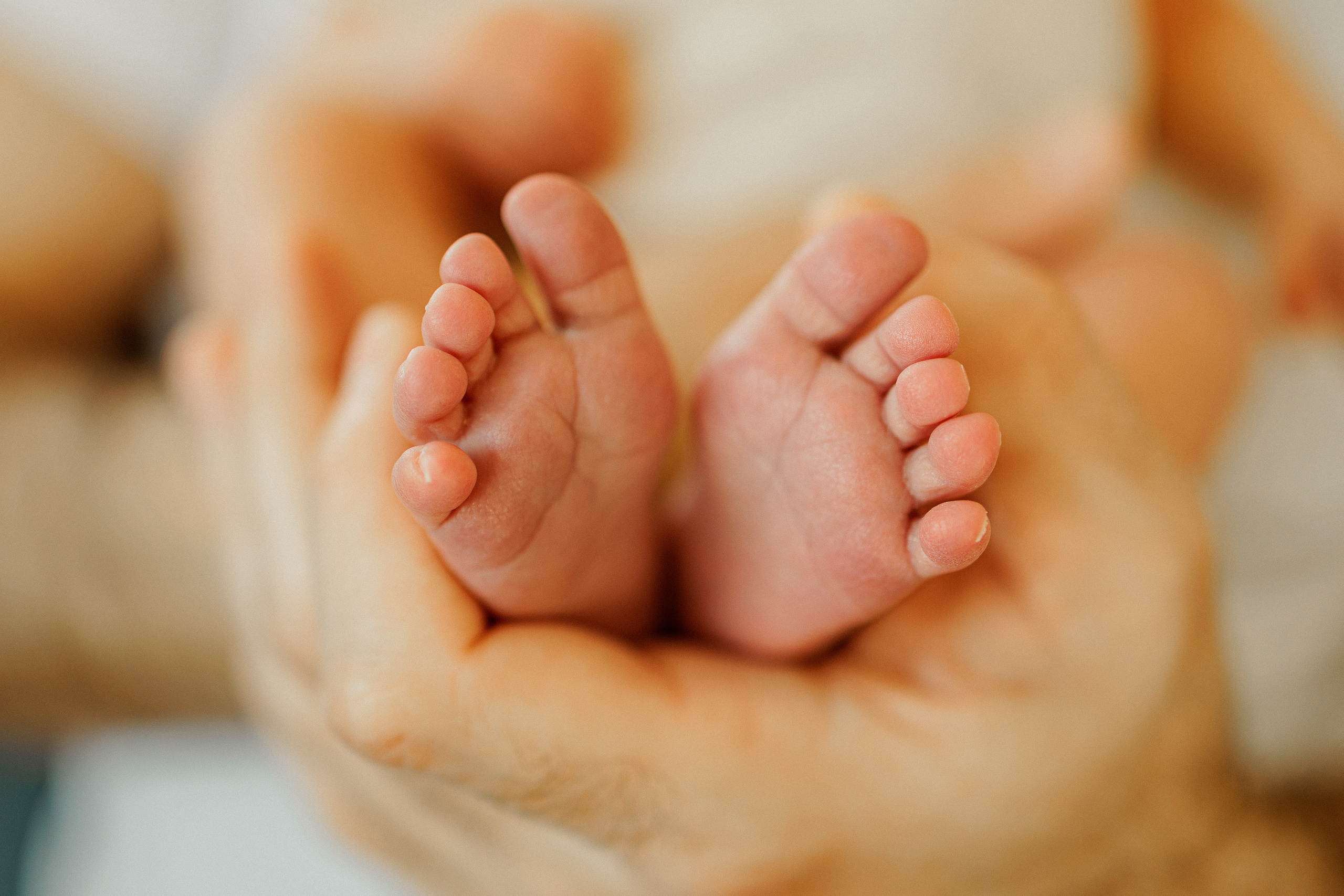 NEWBORN LIFESTILE. Professional garden design and photography services in London