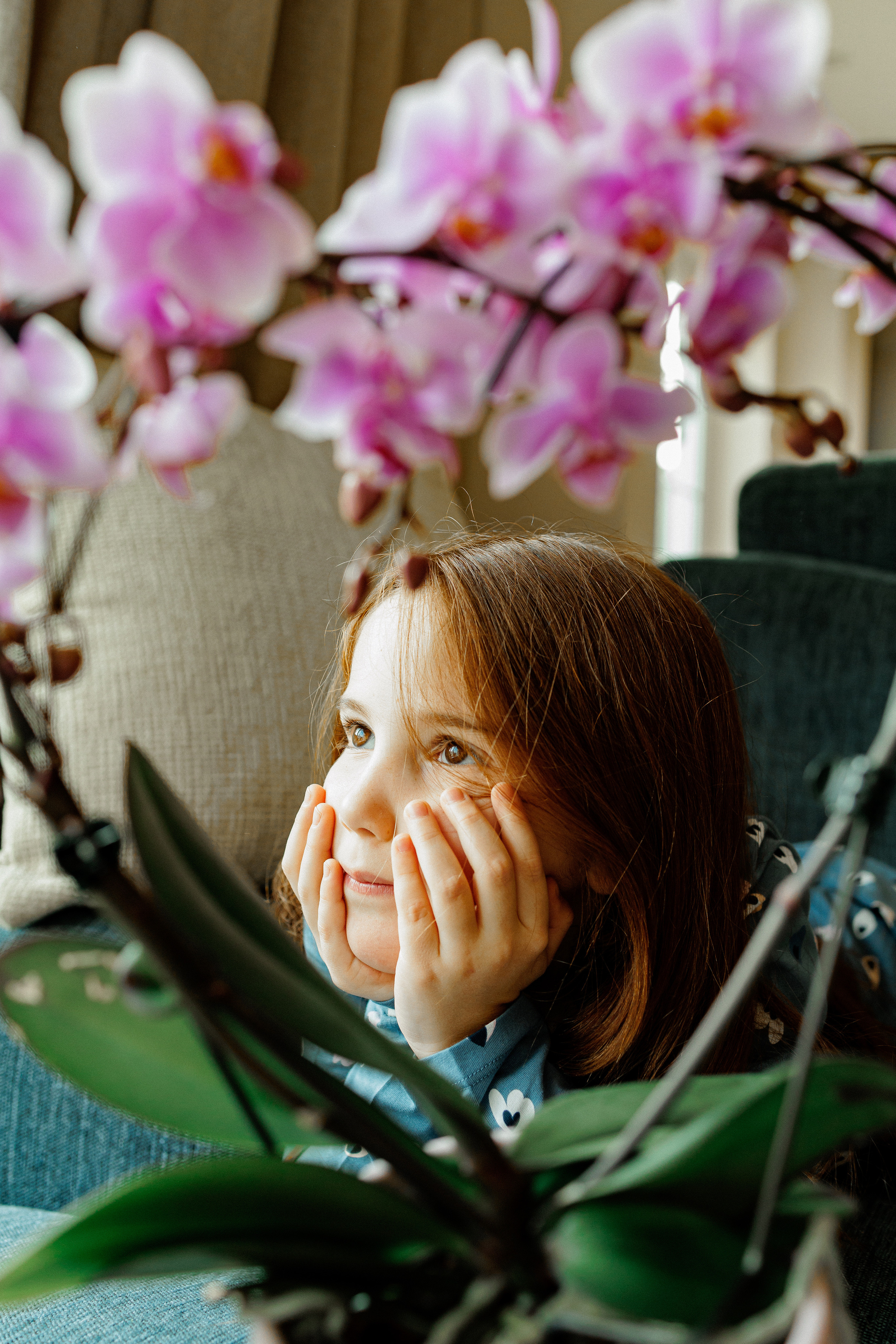 NEWBORN LIFESTILE. Professional garden design and photography services in London