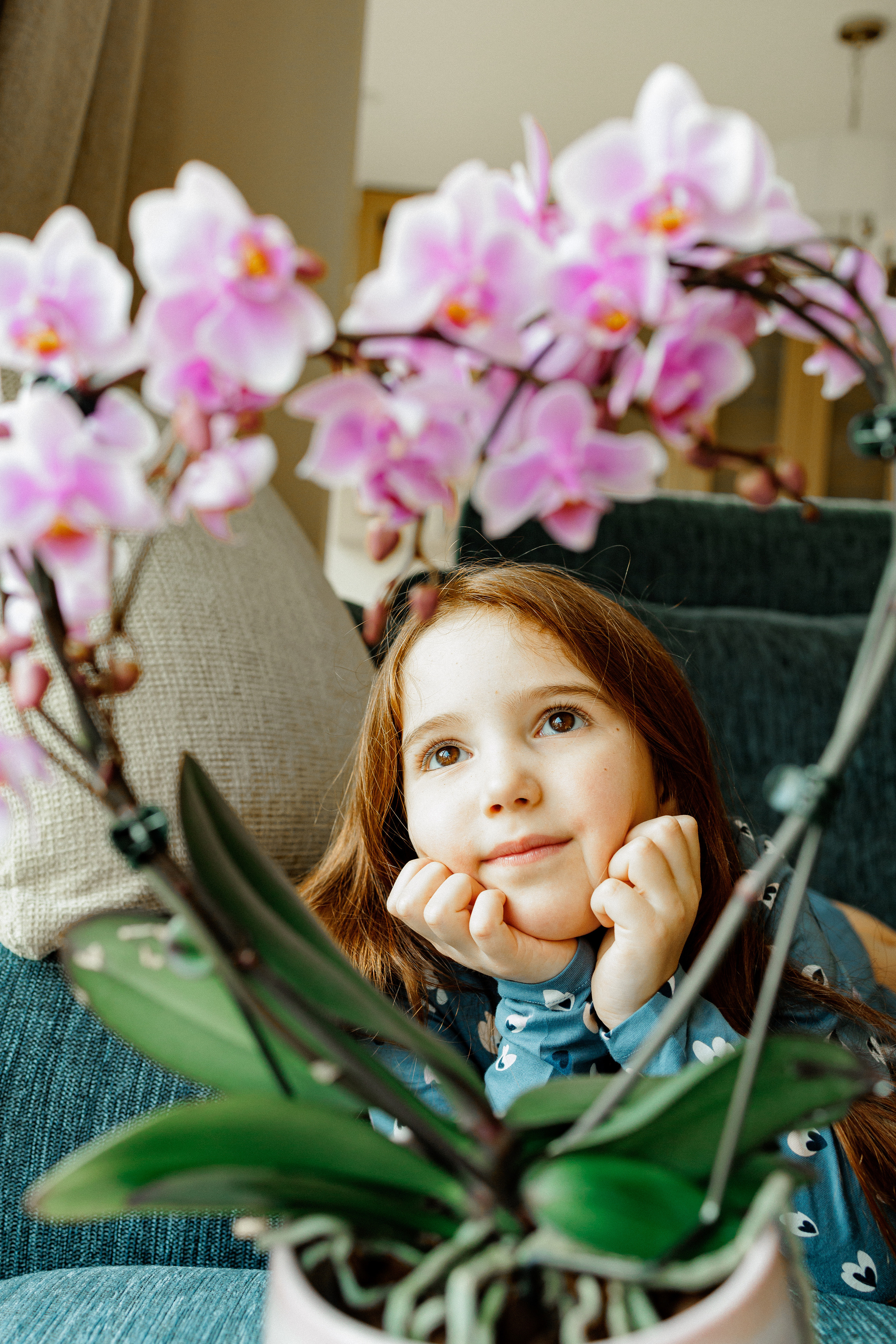 NEWBORN LIFESTILE. Professional garden design and photography services in London