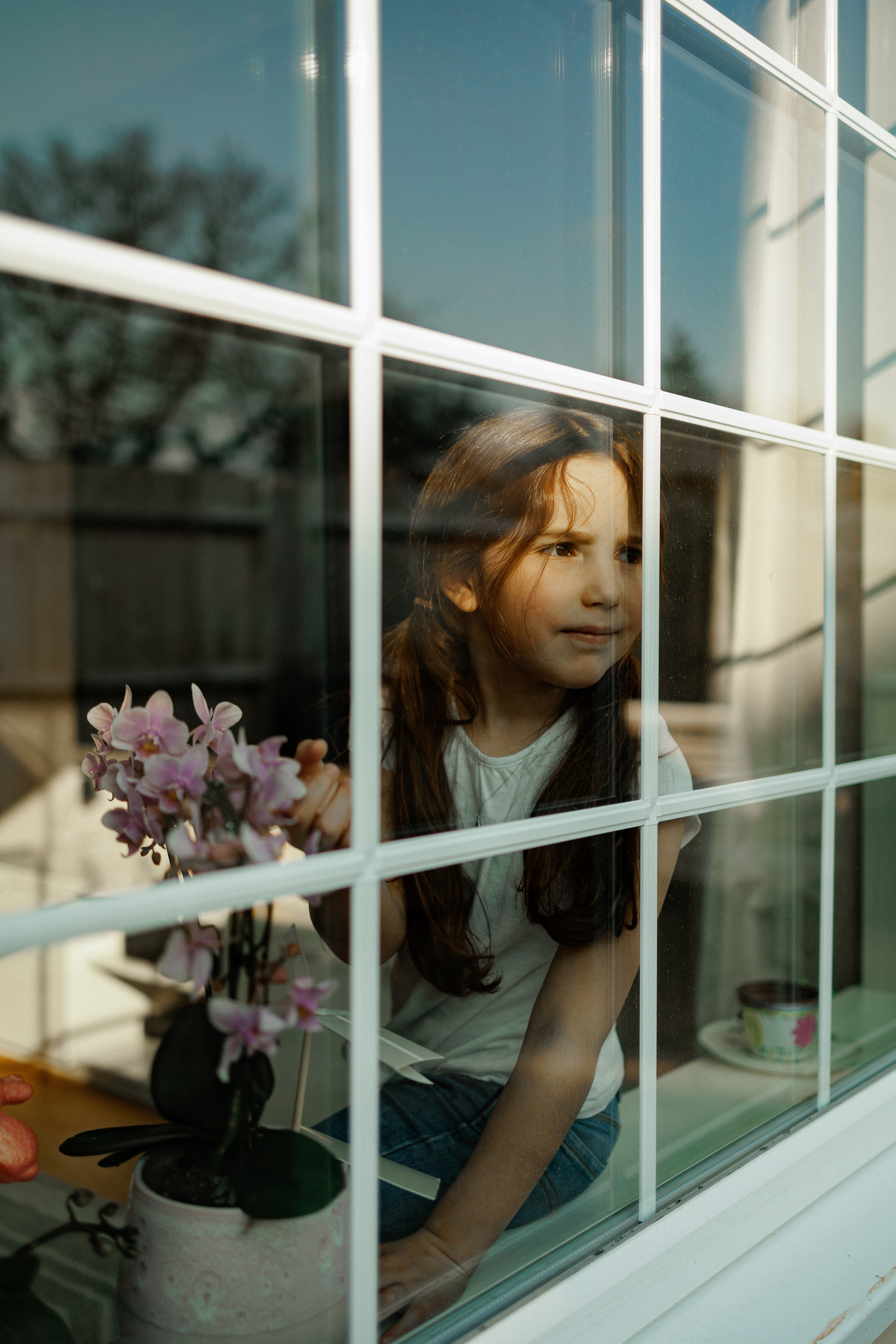 NEWBORN LIFESTILE. Professional garden design and photography services in London