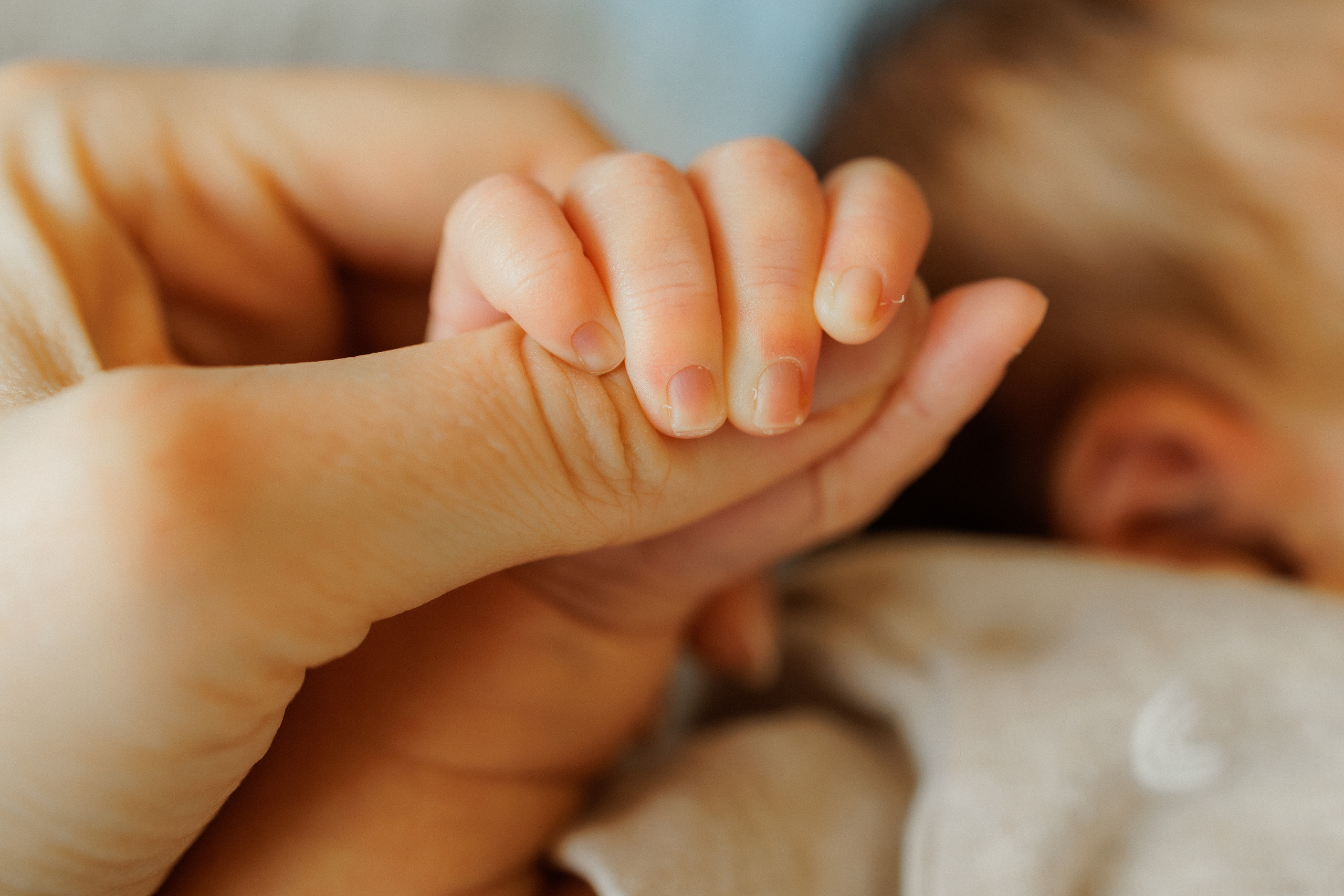 NEWBORN LIFESTILE. Professional garden design and photography services in London