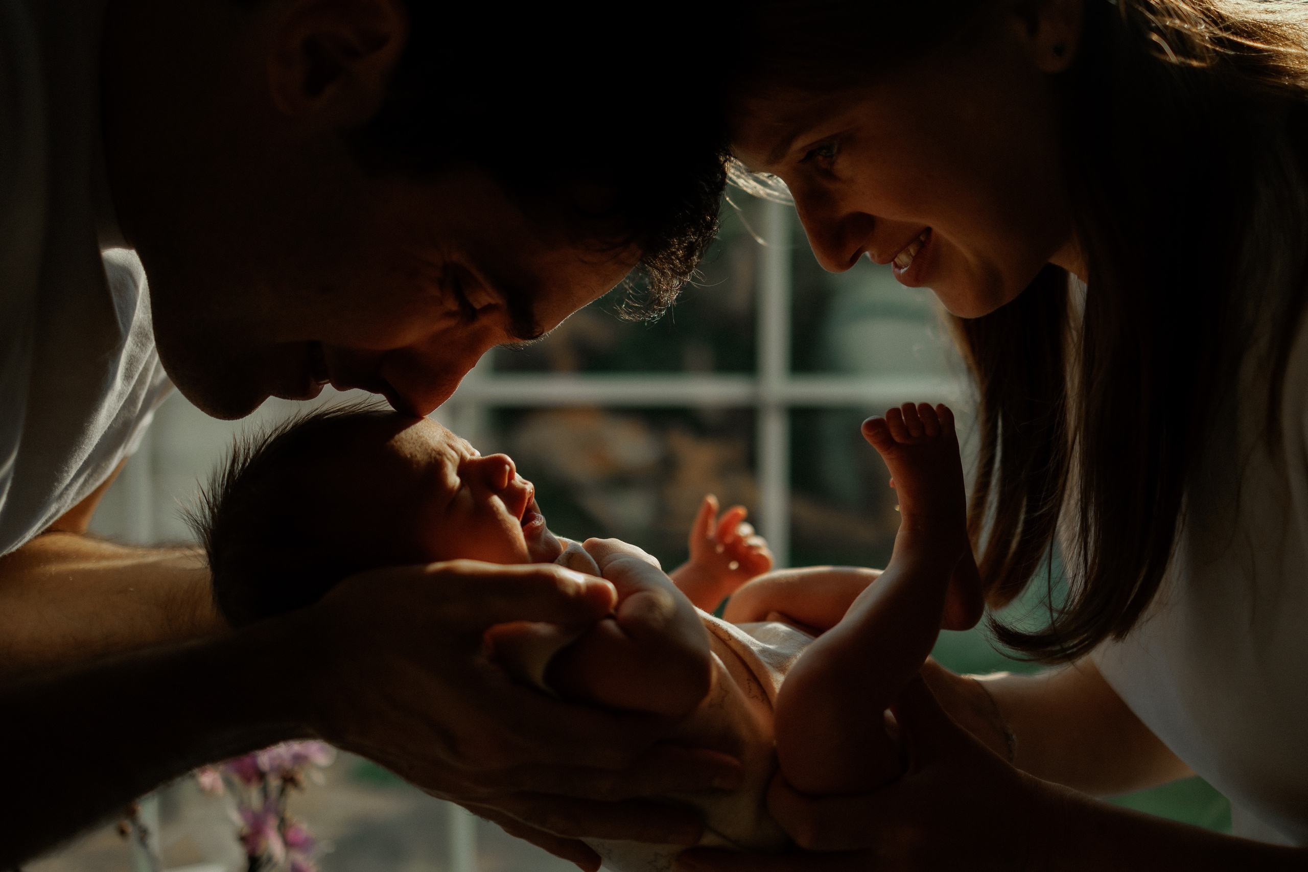 NEWBORN LIFESTILE. Professional garden design and photography services in London