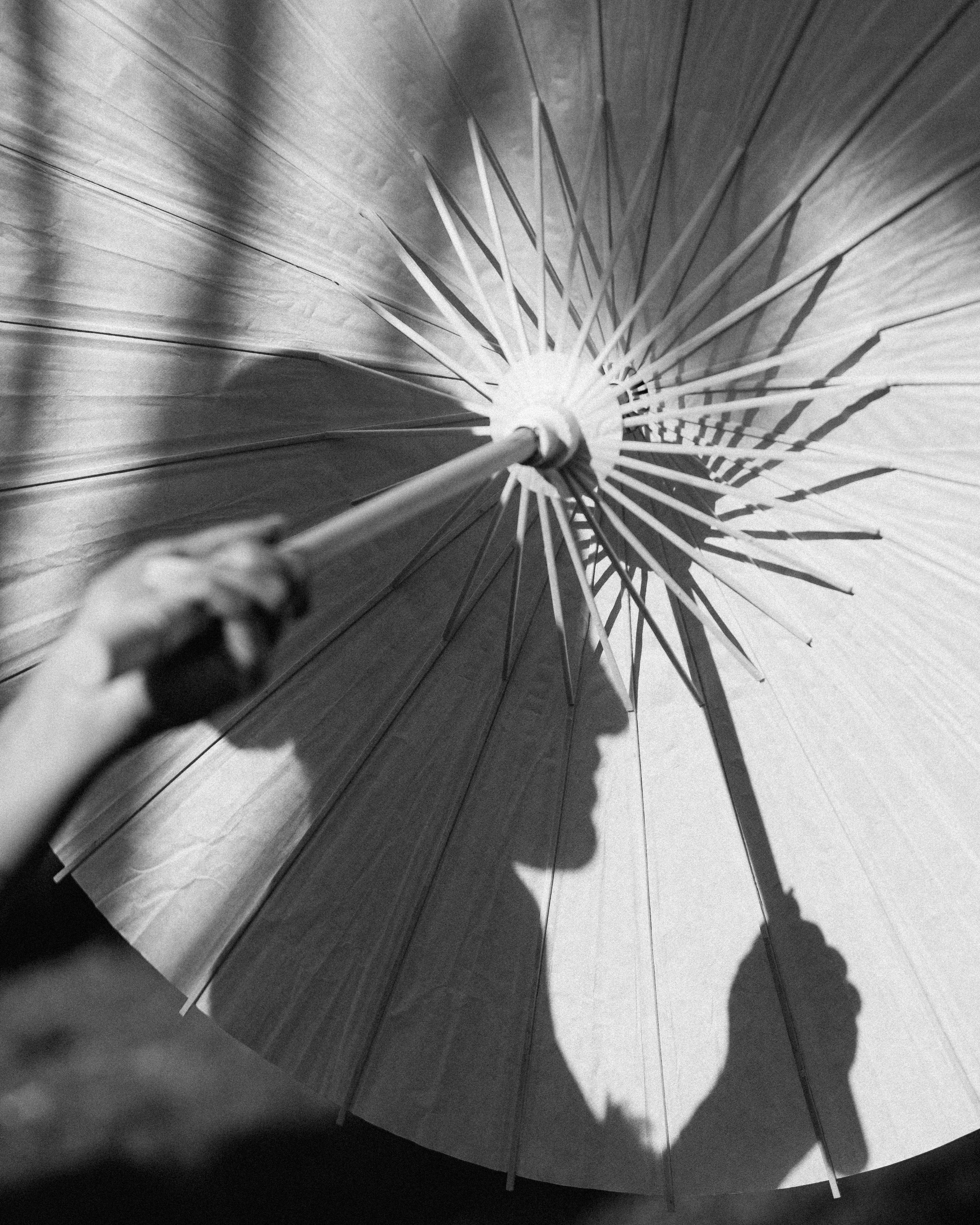 Villa Rizzardi Wedding Photography. Photographer in Italy Anna Linnik