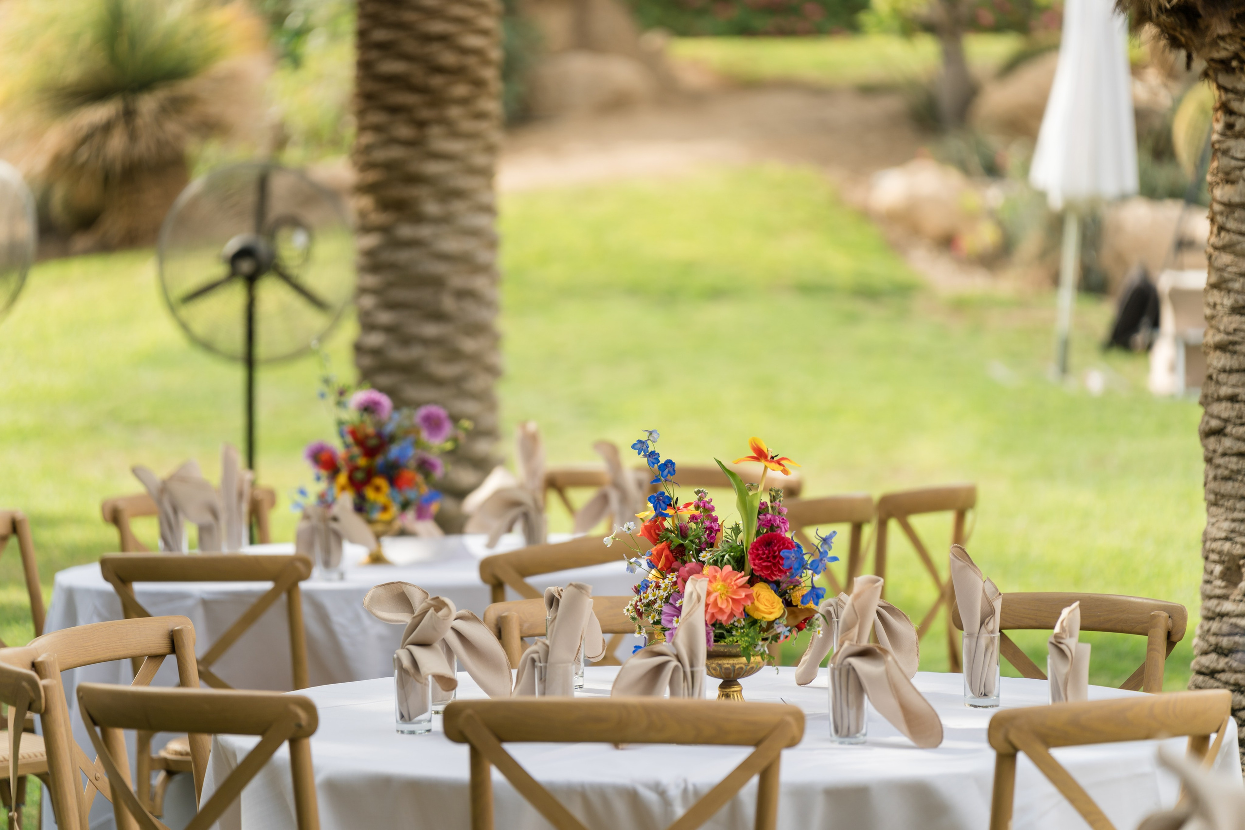 Shirley & Yoav. AMIR BUCHNIK PHOTOGRAPHER