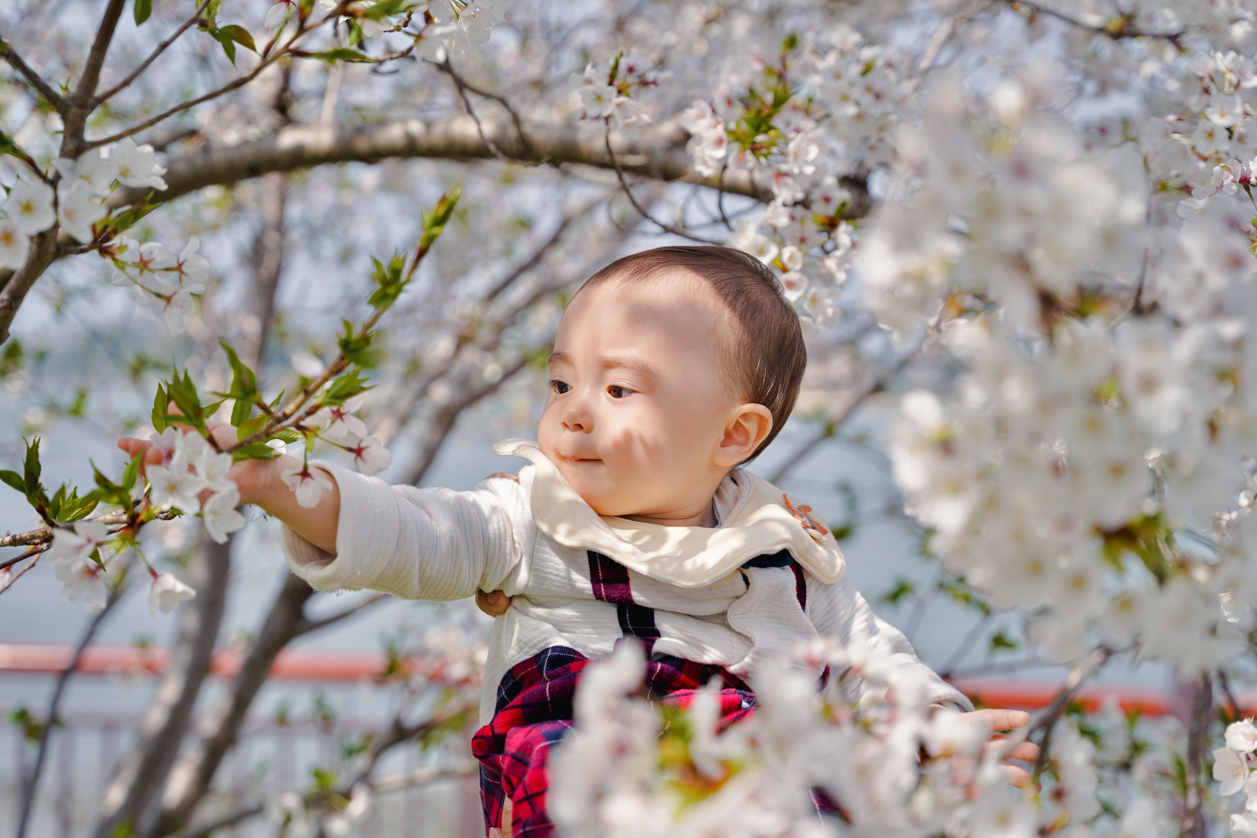 Portrait Photographer in Fukuoka, Japan | Alina Nazarova