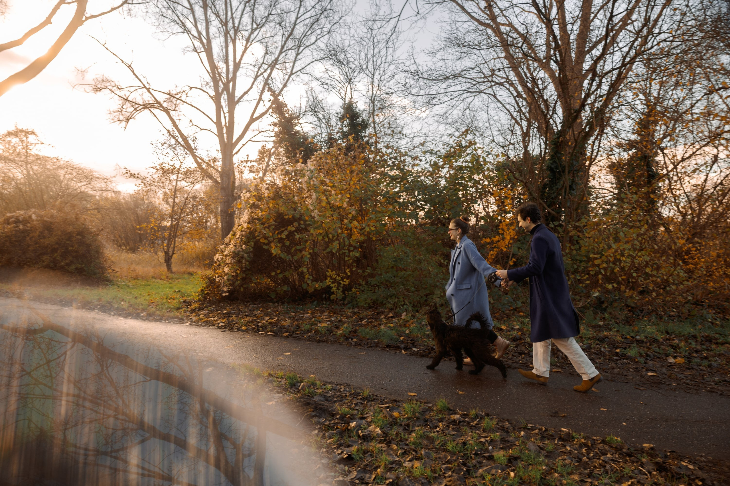 Pet Photoshoot in Spijkenisse | Rotterdam. Romantic & Soulful Photography by Natalia Olhova in Rotterdam