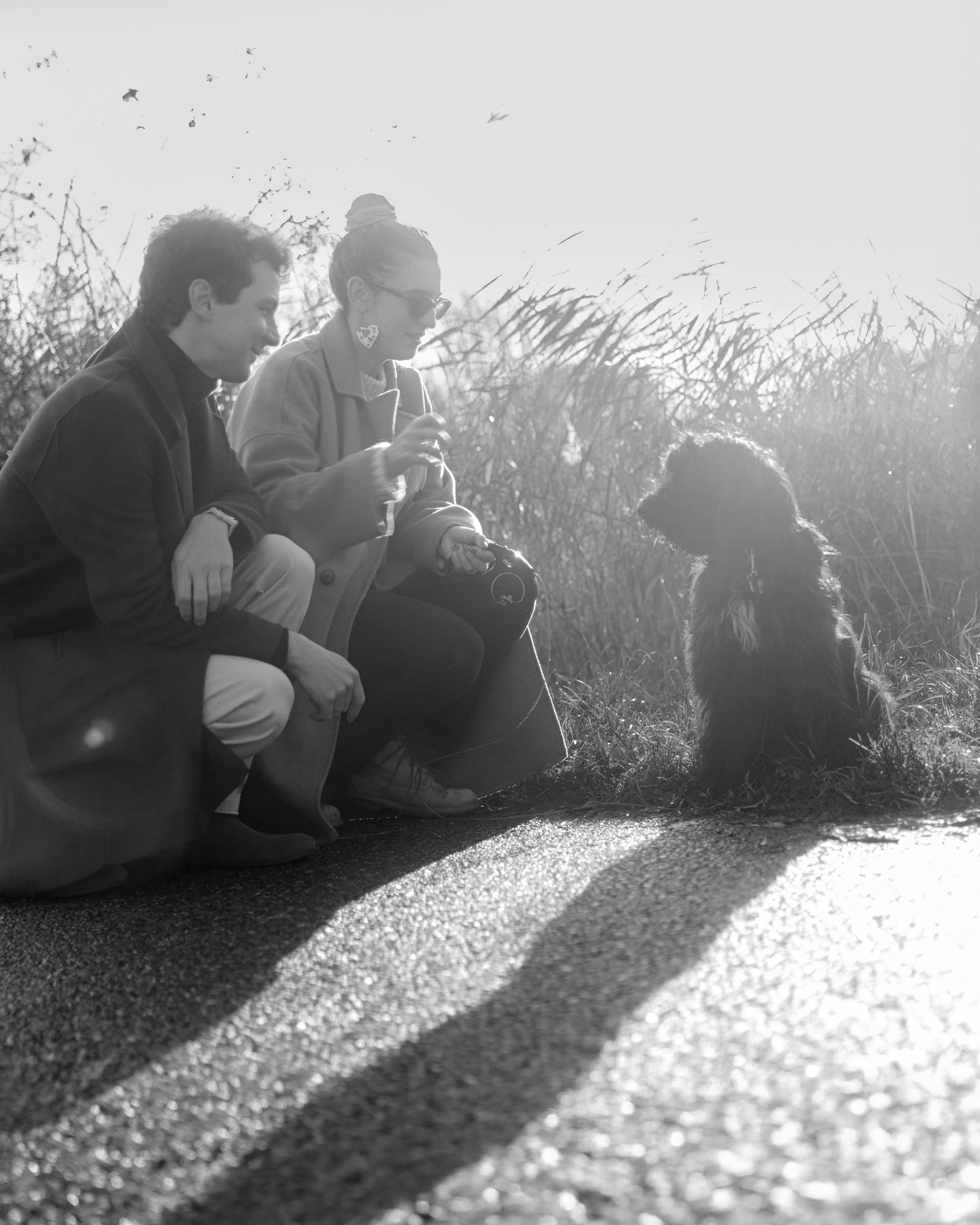 Pet Photoshoot in Spijkenisse | Rotterdam. Romantic & Soulful Photography by Natalia Olhova in Rotterdam