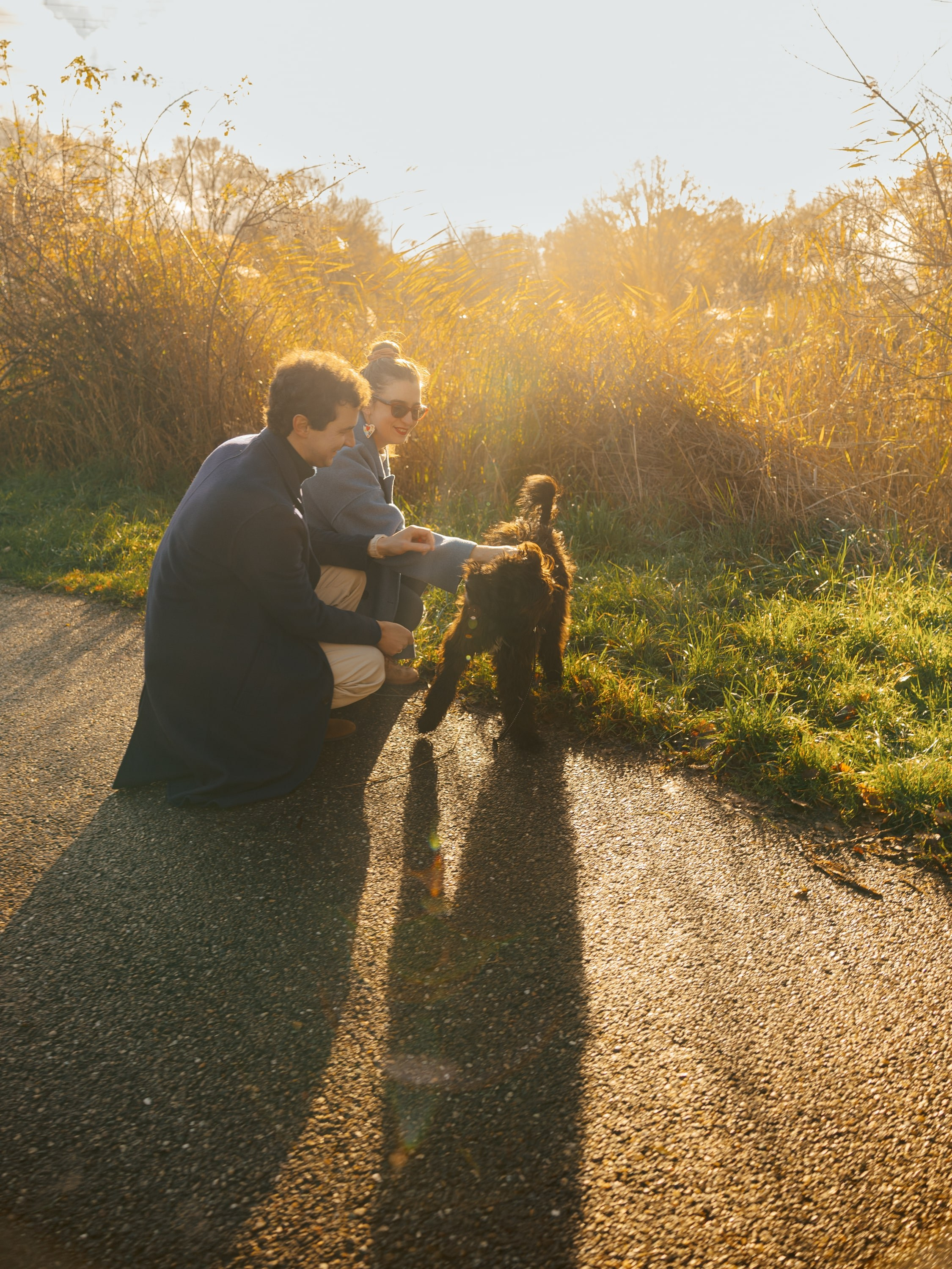 Pet Photoshoot in Spijkenisse | Rotterdam. Romantic & Soulful Photography by Natalia Olhova in Rotterdam