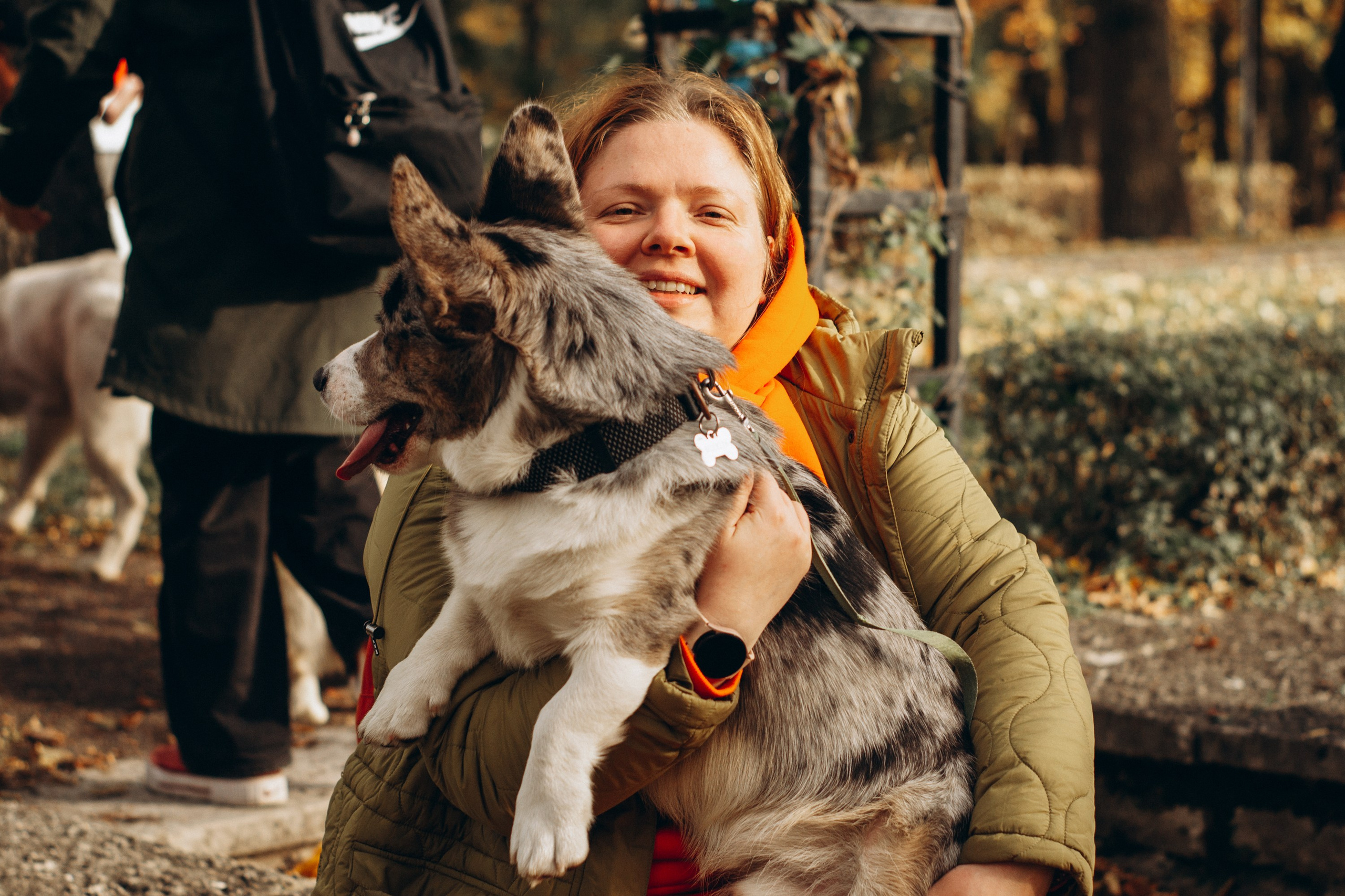 Corgi party, october. Kat Laisaar — Pet photographer in Tallinn