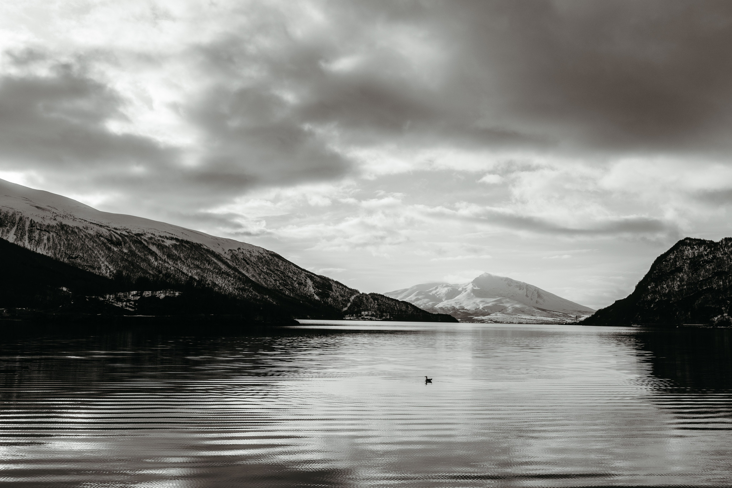 Tromso. Marius Ciocan