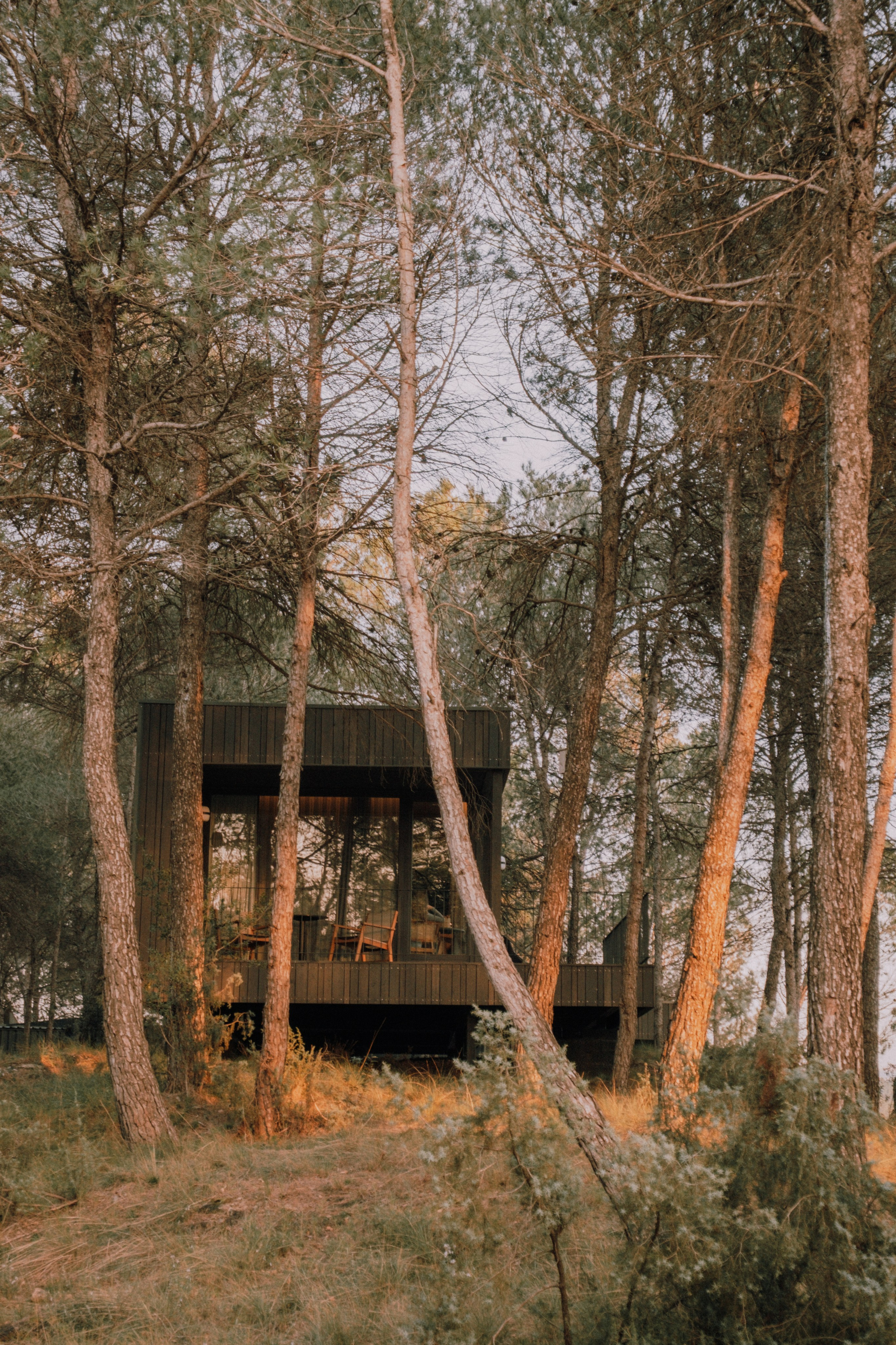 Sesión familiar en el bosque. Fotografía profesional en Calafell - Elena Medvedeva
