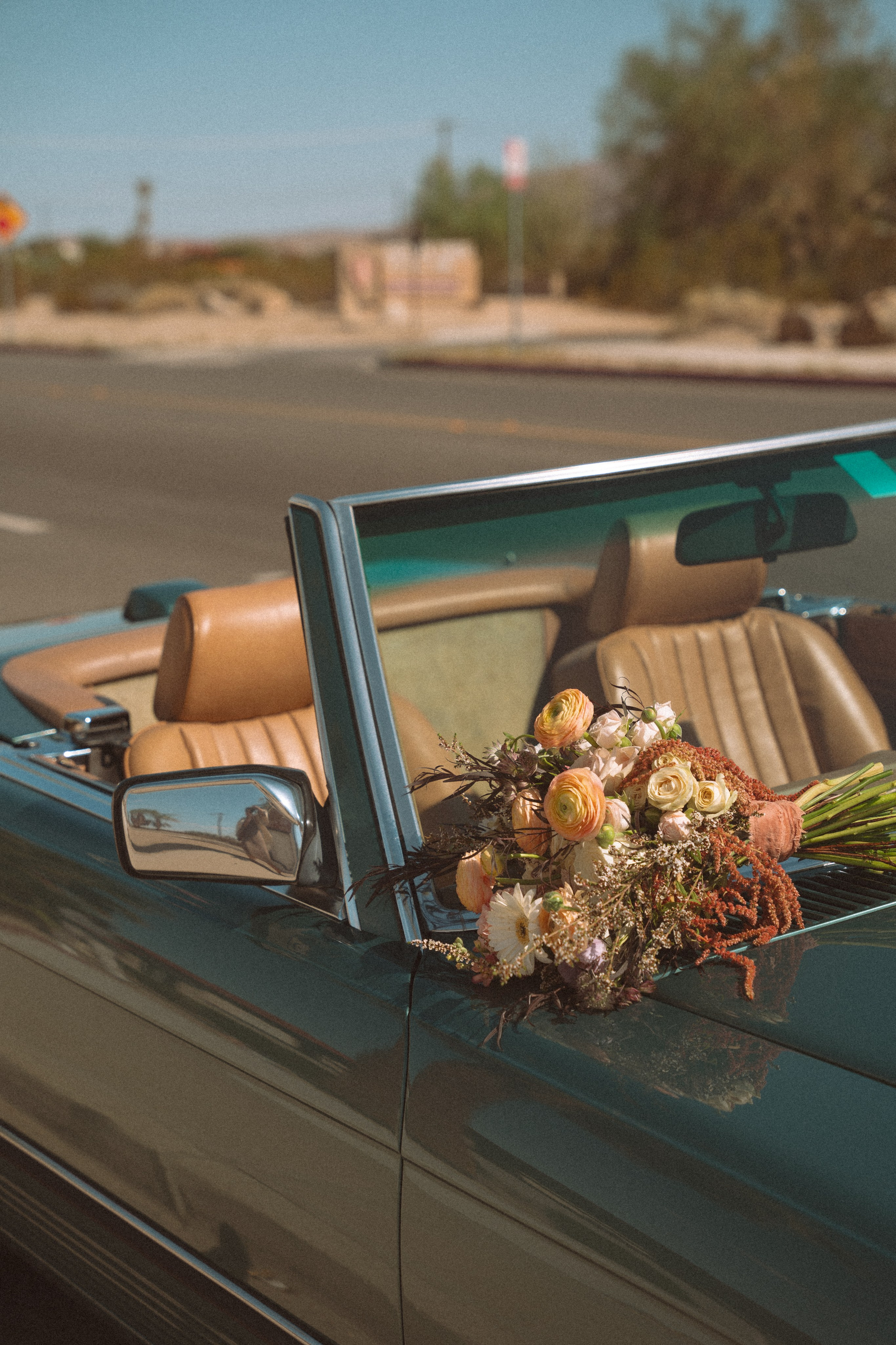 Joshua Tree wedding. Joshua tree elopement. Wedding for 2. Wedding photographer Joshua Tree. Elopement photographer in Joshua Tree. Couples photographer in Joshua Tree. Elopement in Joshua Tree