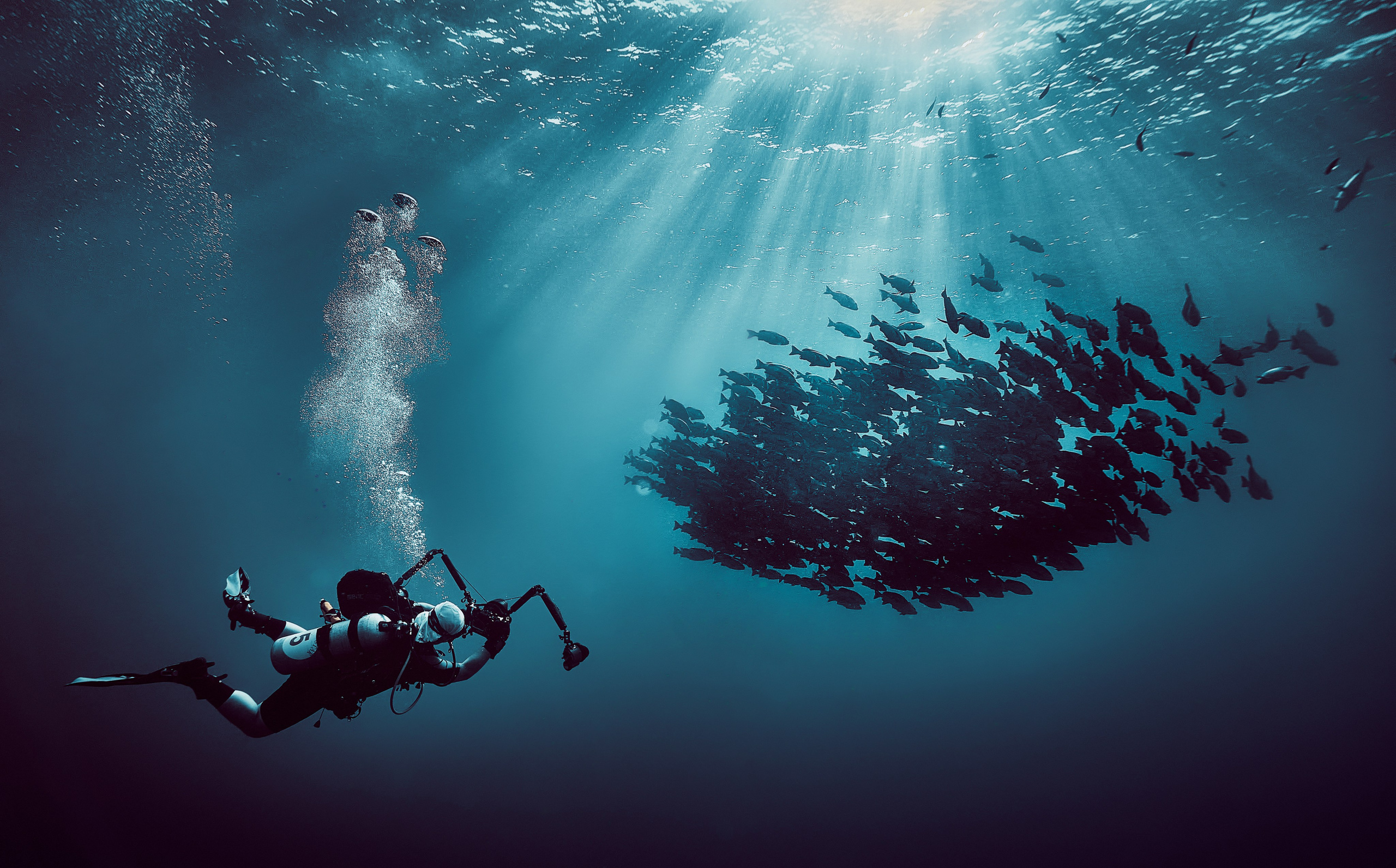 Mieszkańcy mórz. Andriej Szypilow — Photography & Videography