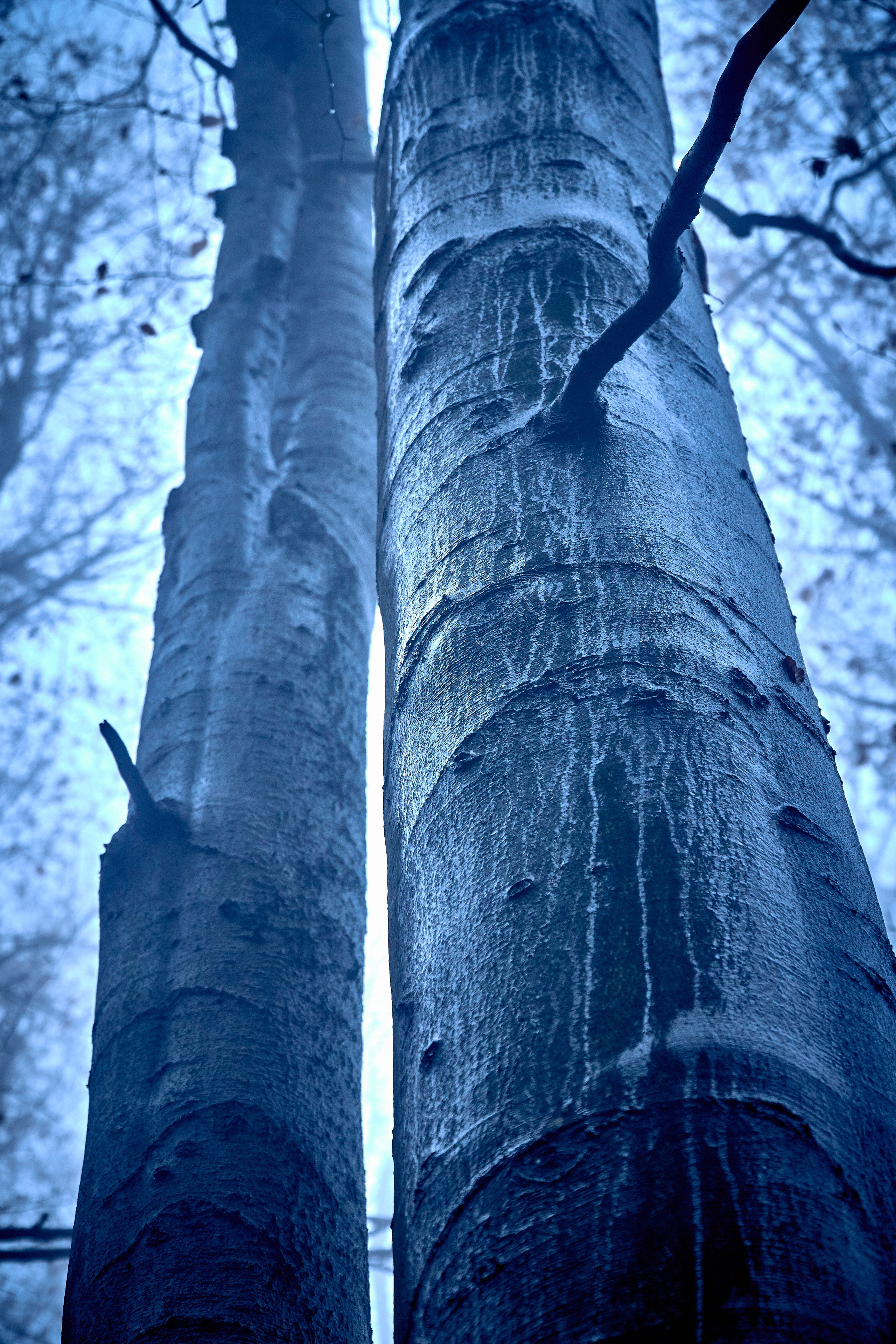 Бещады — здесь остановилось время. Андрей Шипилов — Фотография & Видеография