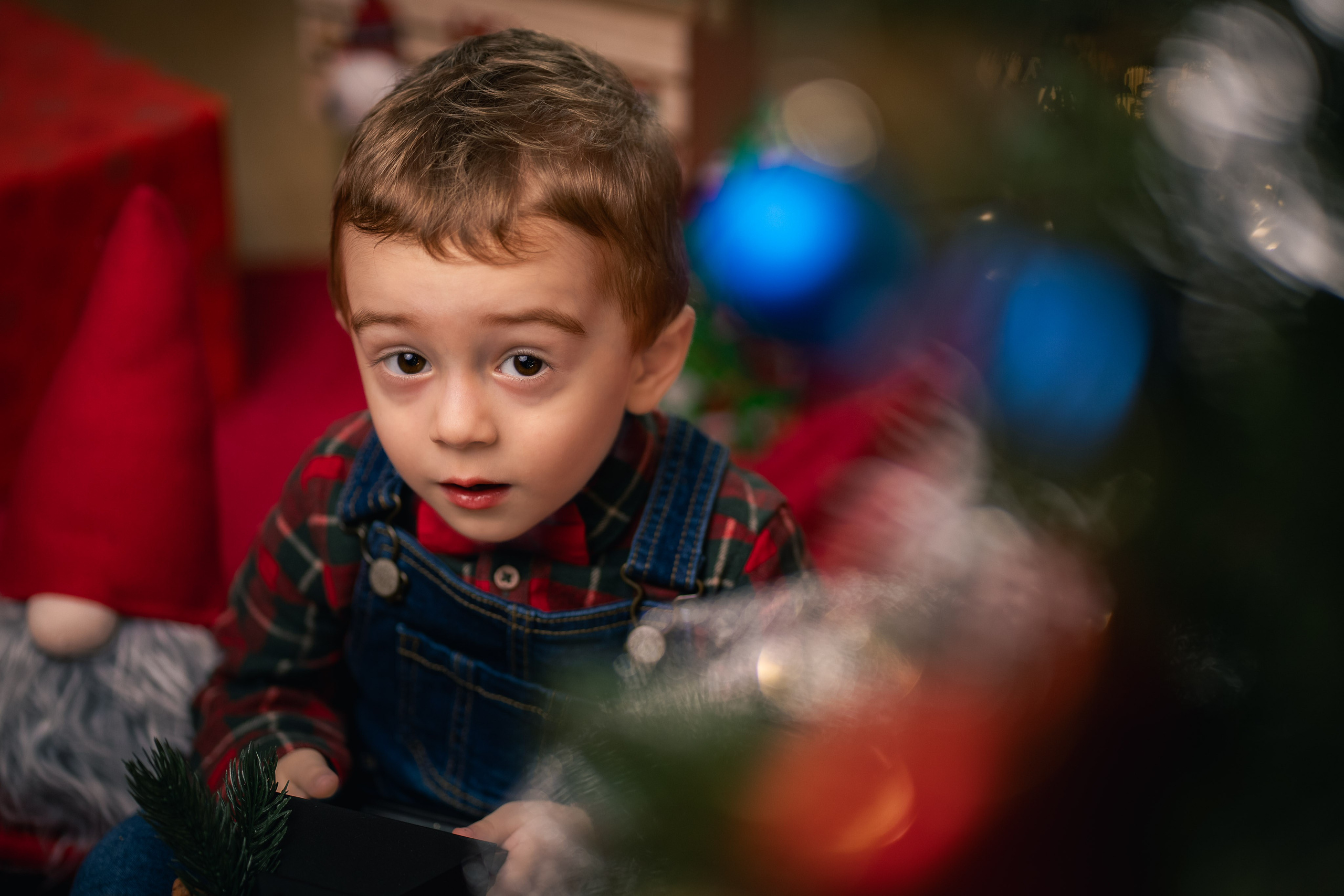 Sedinta foto Craciun — Gradinita Miniterra. Liviu Andrei - Fotograf