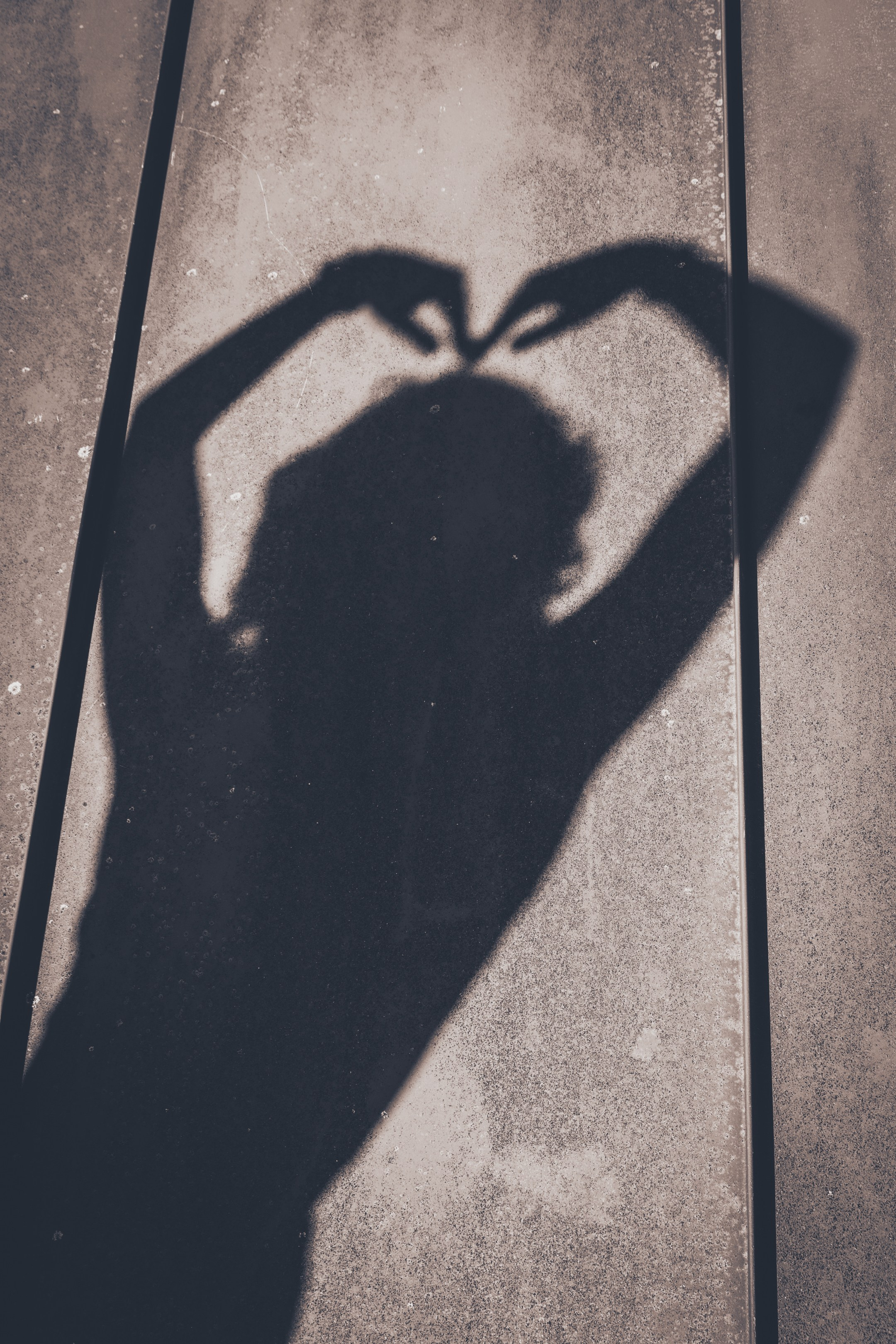 Lahe graatsia (Sonja). Nebula 25 — Fotod teie hingele