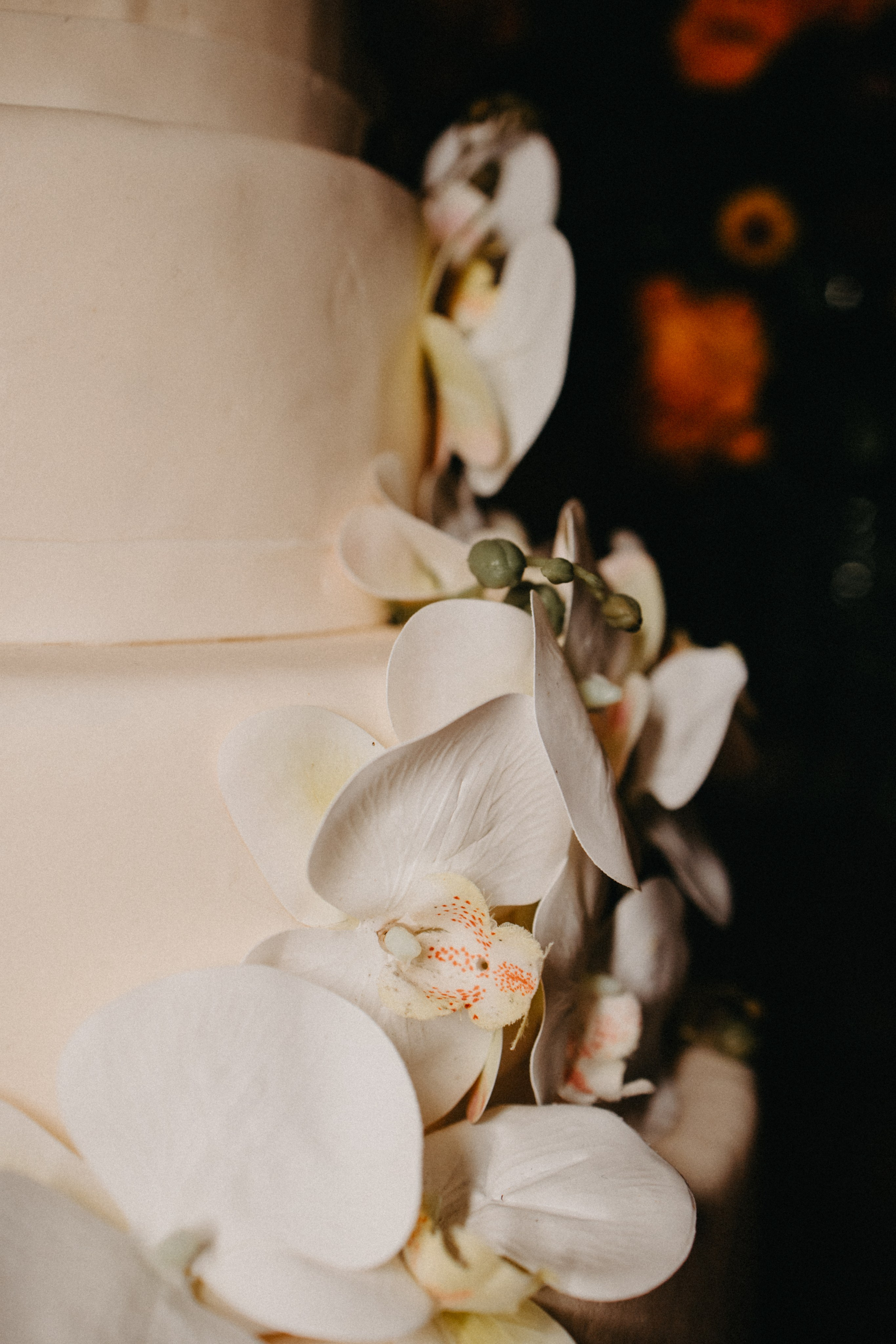 R & D — Meter o louco e ser feliz!. Fotografia de casamento em Belo Horizonte