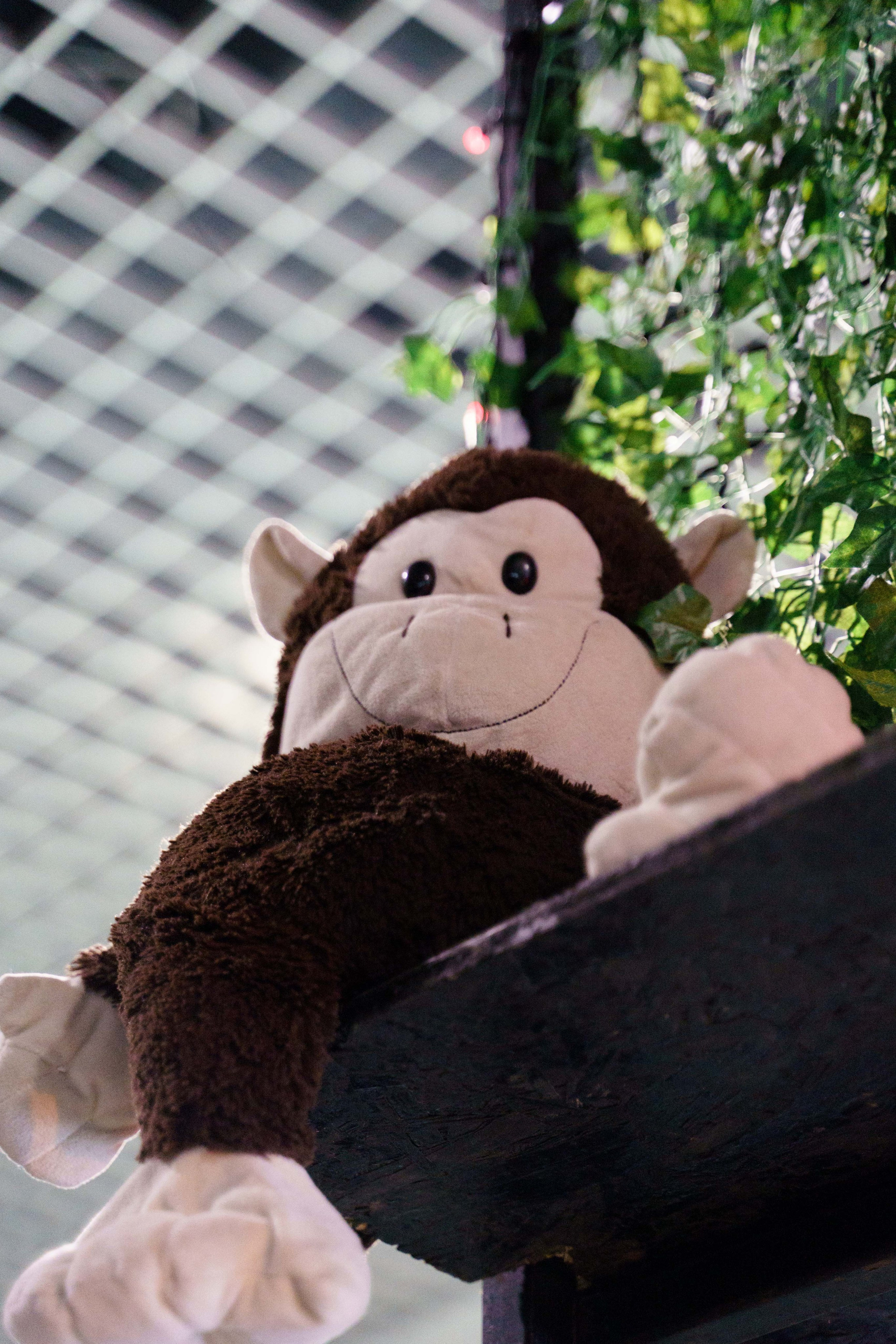 Dani piva u Novom Sadu 2024. Жуков Студио